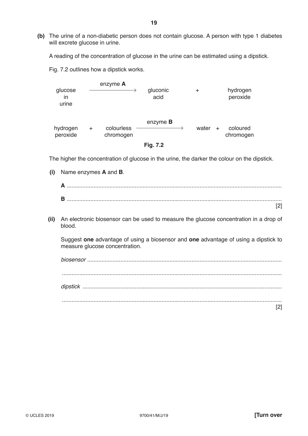 Cambridge A Level Biology 9700 2019 May/June Paper 4 · Variant 1 question paper, page 19 of 24