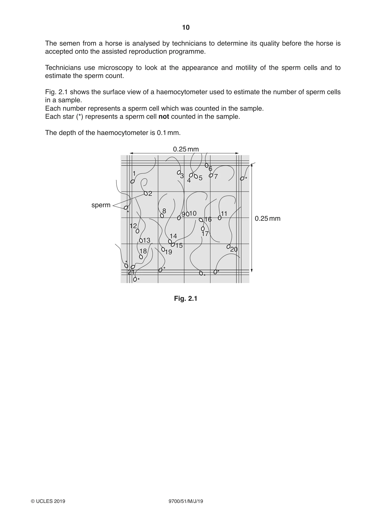 Cambridge A Level Biology 9700 2019 May/June Paper 5 · Variant 1 question paper, page 10 of 12