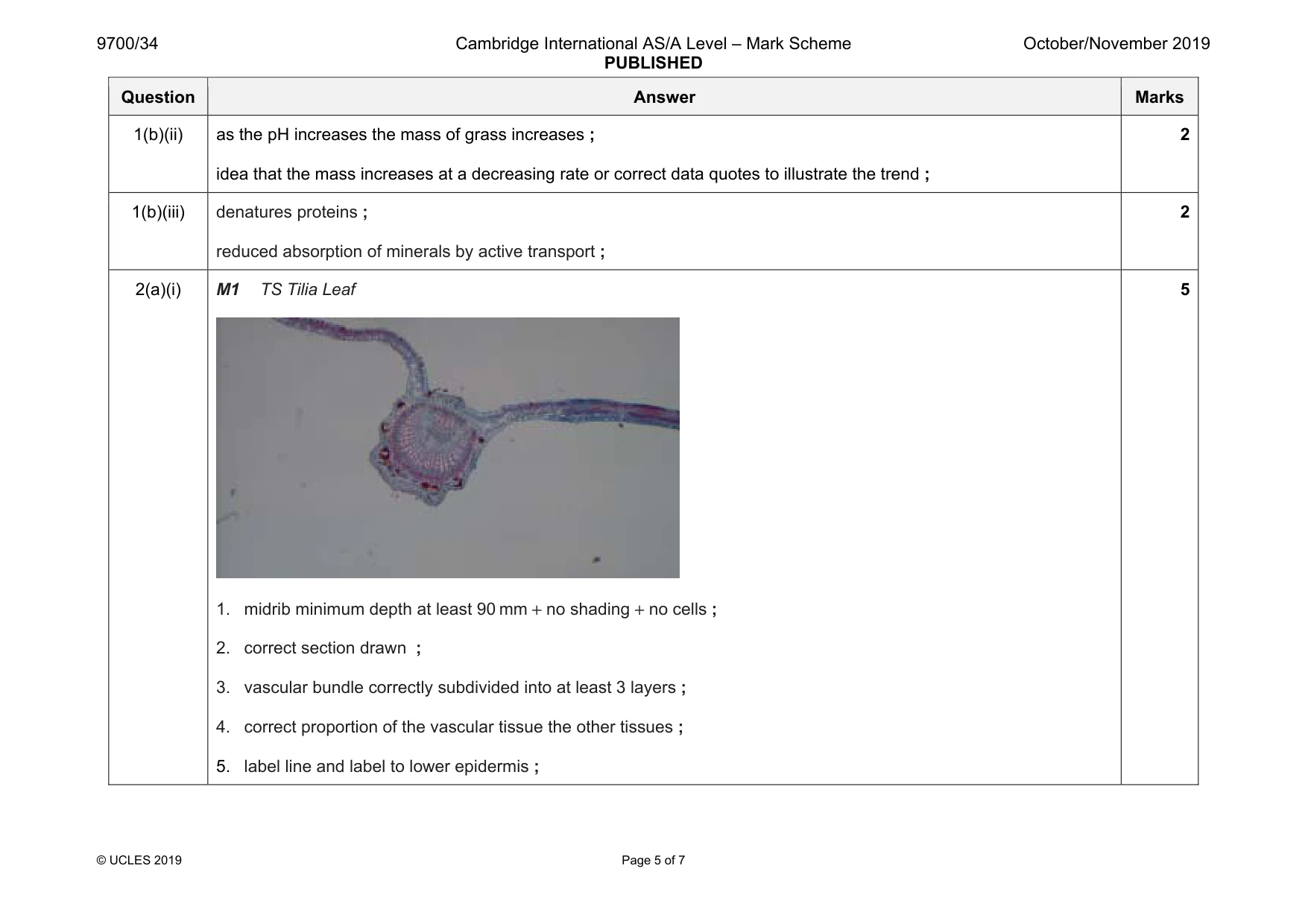 Mark scheme, page 5 of 7