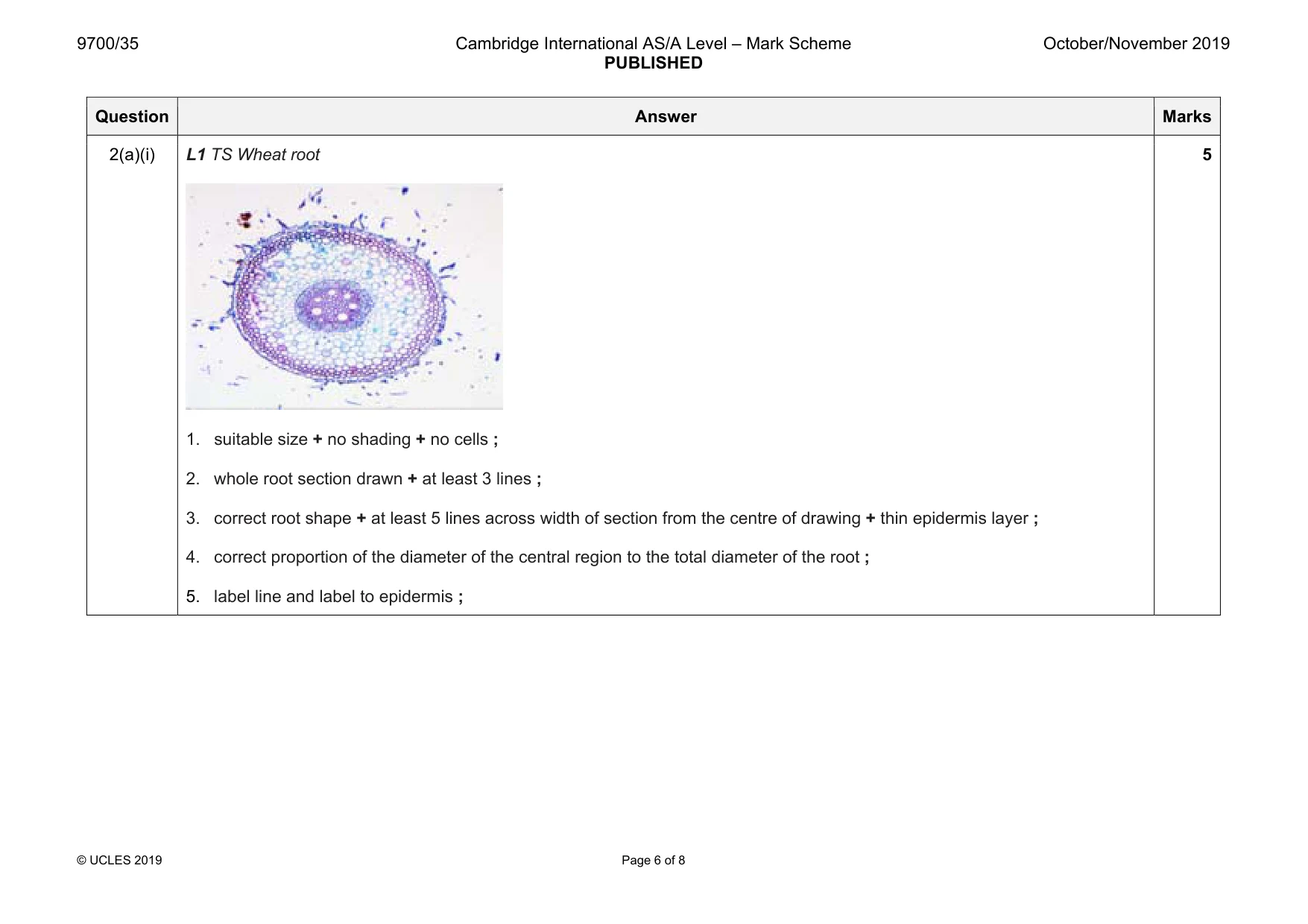 Mark scheme, page 6 of 8
