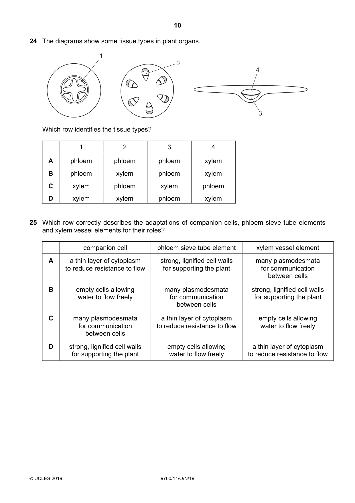 Cambridge A Level Biology 9700 2019 Oct/Nov Paper 1 · Variant 1 question paper, page 10 of 20