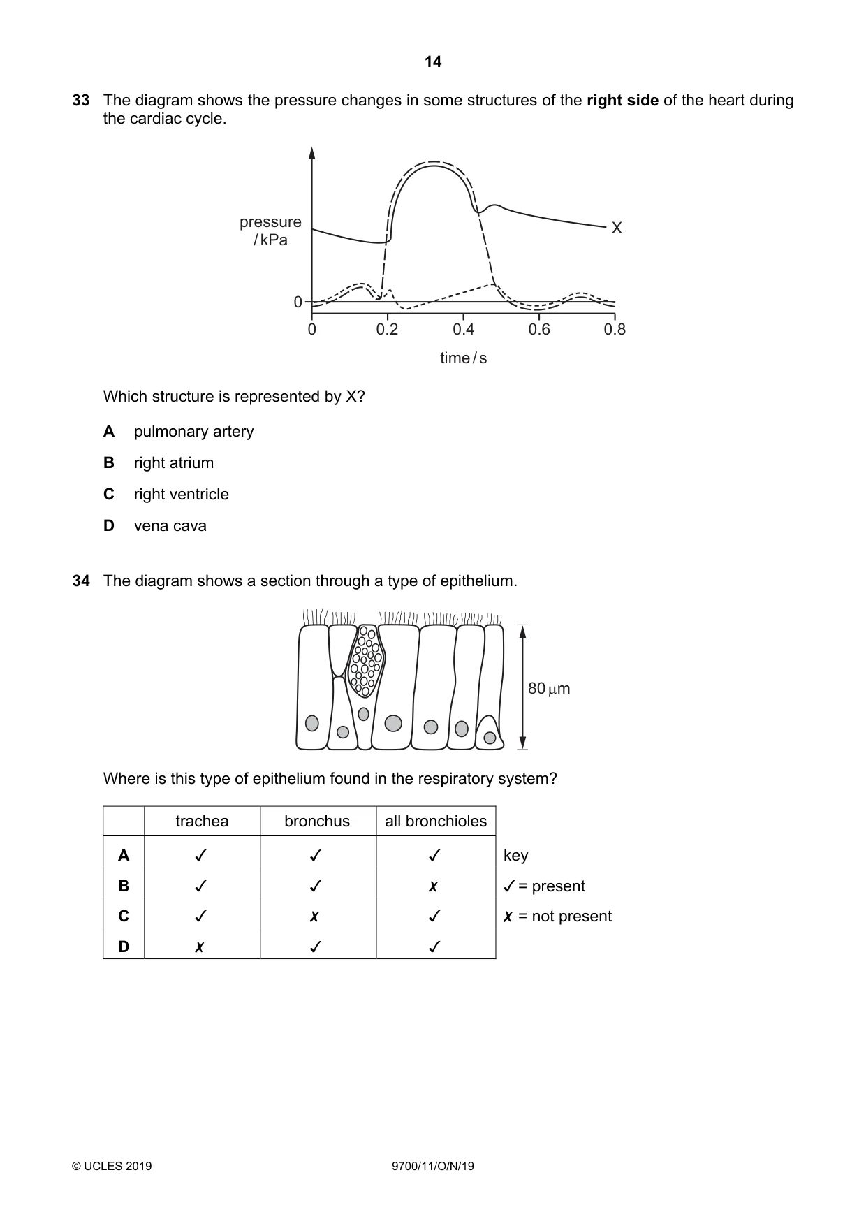 Cambridge A Level Biology 9700 2019 Oct/Nov Paper 1 · Variant 1 question paper, page 14 of 20