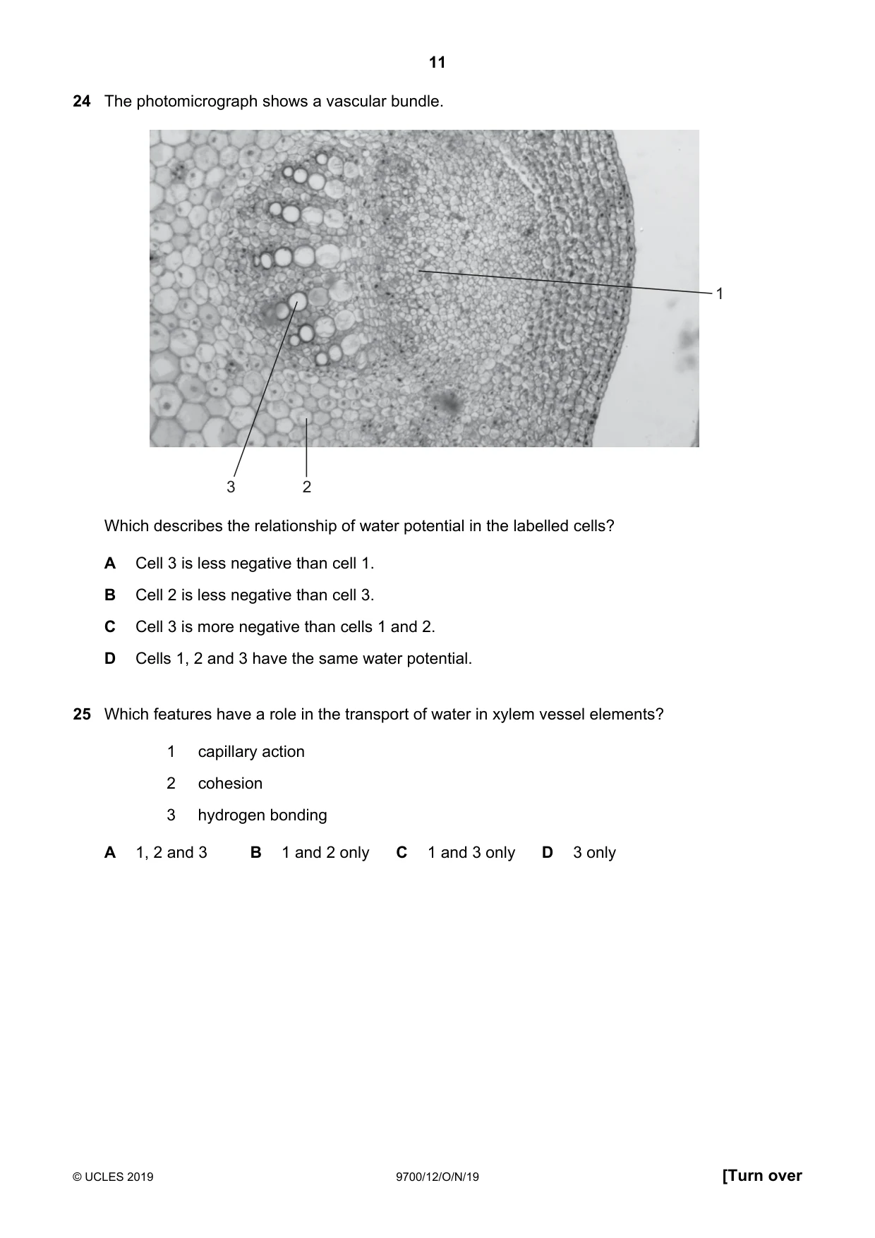 Cambridge A Level Biology 9700 2019 Oct/Nov Paper 1 · Variant 2 question paper, page 11 of 20