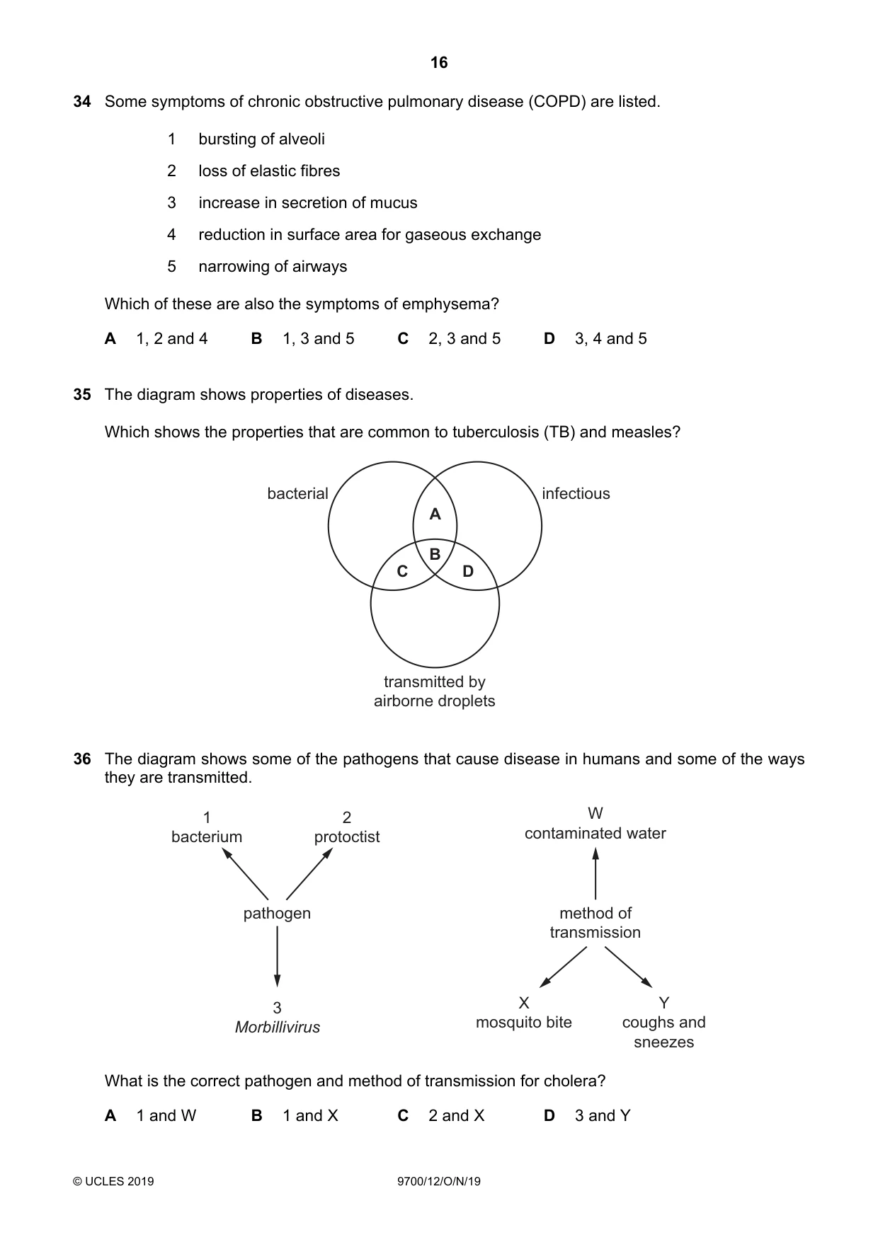 Cambridge A Level Biology 9700 2019 Oct/Nov Paper 1 · Variant 2 question paper, page 16 of 20