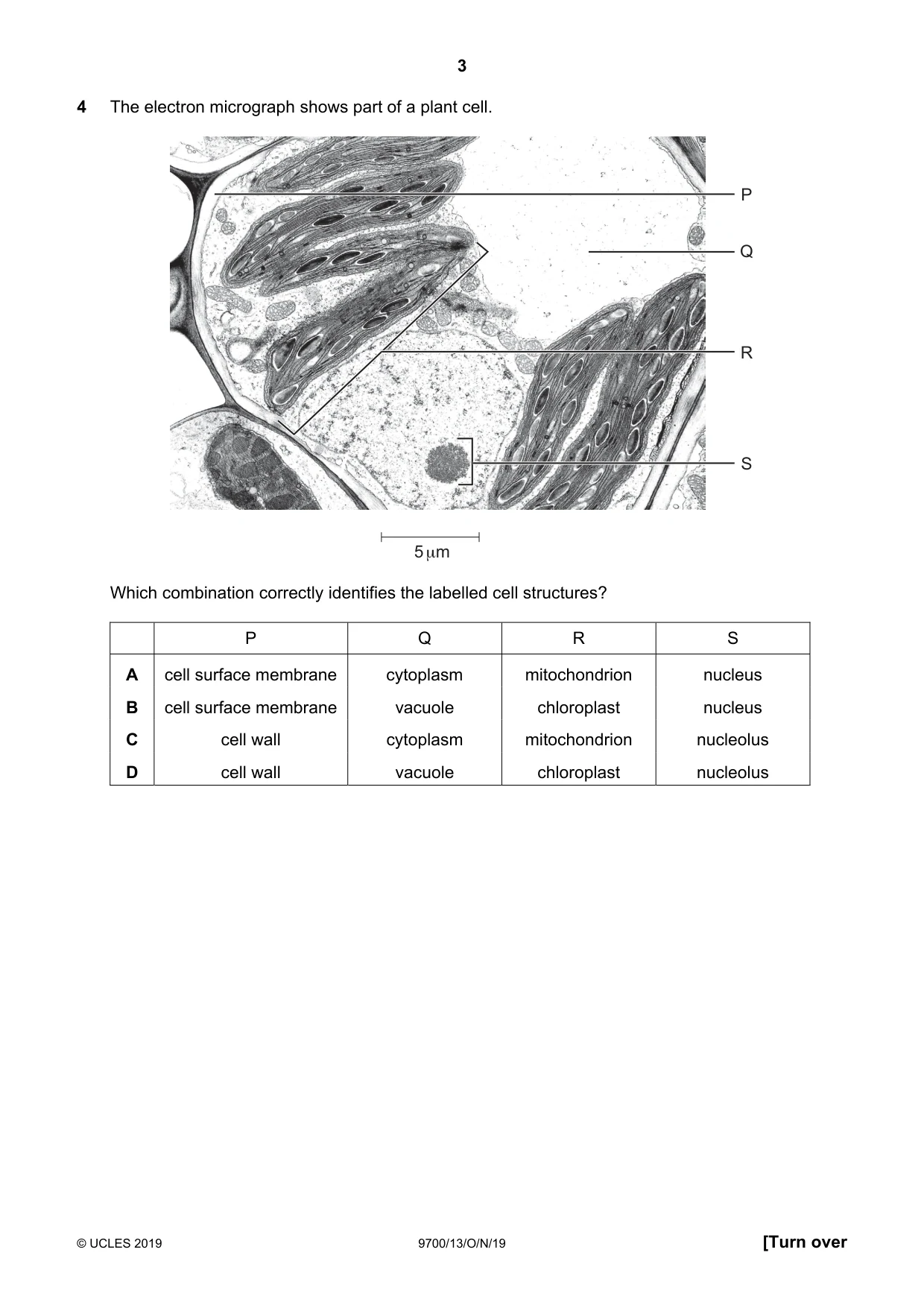 Cambridge A Level Biology 9700 2019 Oct/Nov Paper 1 · Variant 3 question paper, page 3 of 20