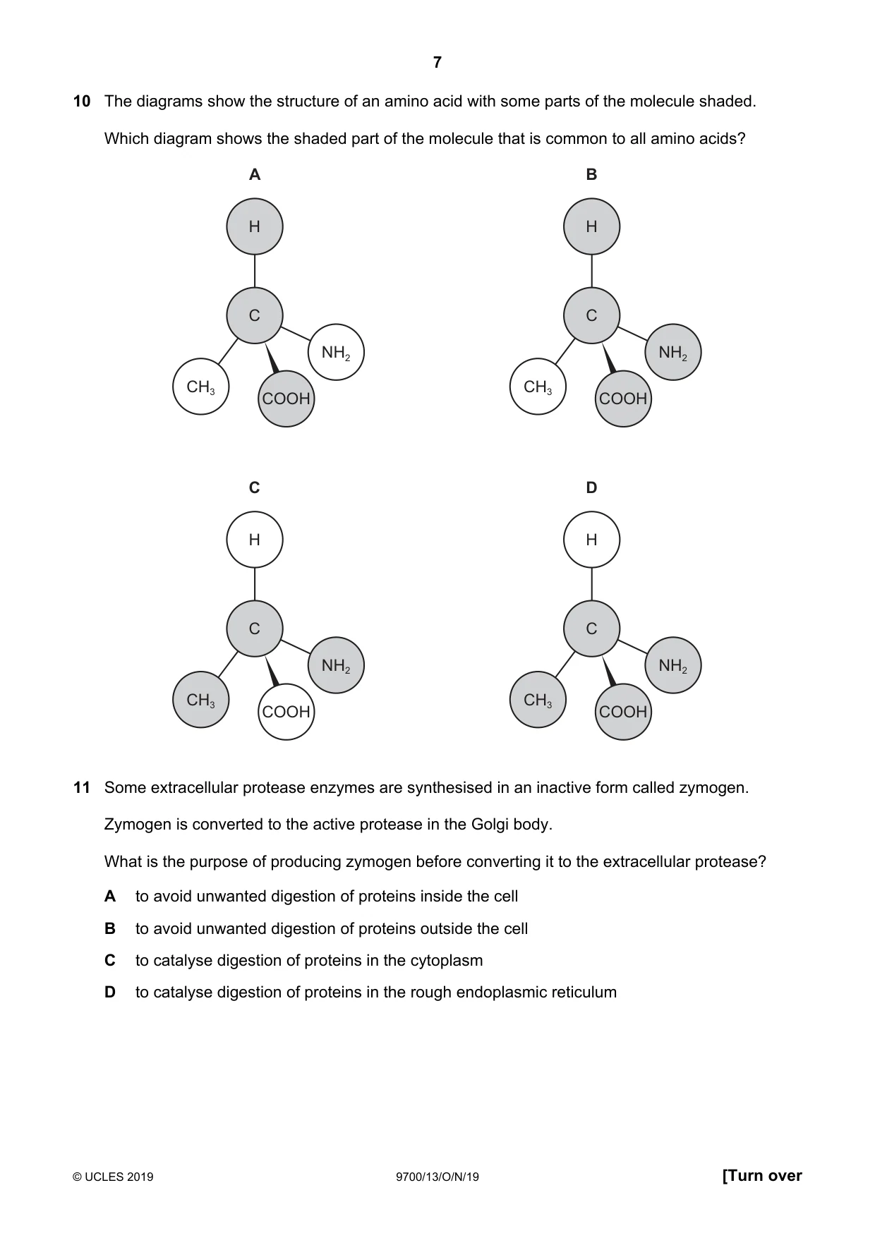 Cambridge A Level Biology 9700 2019 Oct/Nov Paper 1 · Variant 3 question paper, page 7 of 20