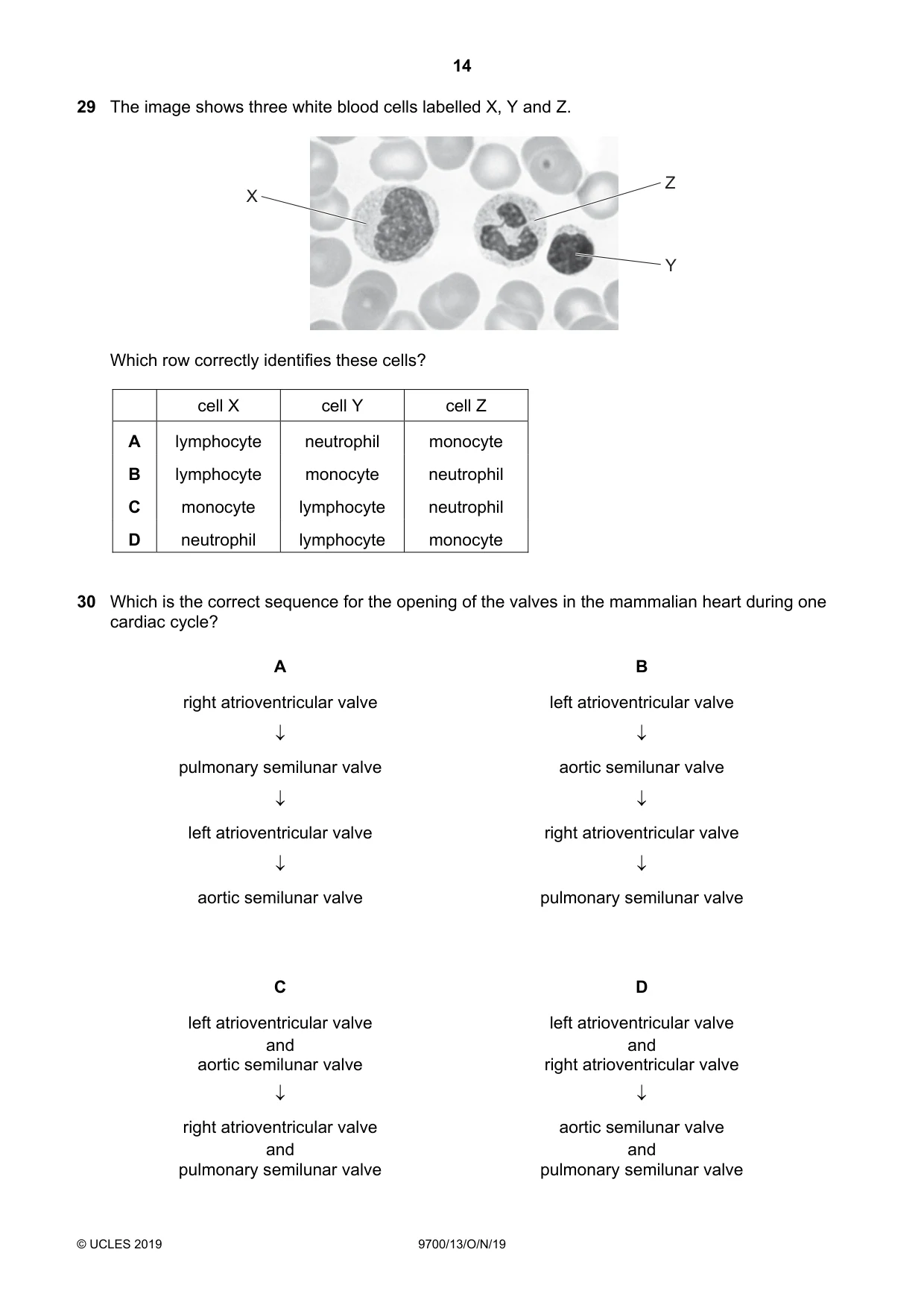 Cambridge A Level Biology 9700 2019 Oct/Nov Paper 1 · Variant 3 question paper, page 14 of 20