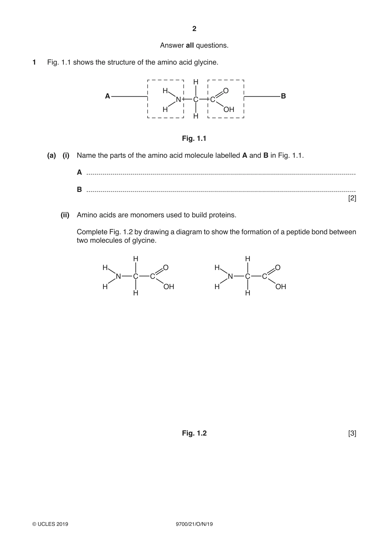 Cambridge A Level Biology 9700 2019 Oct/Nov Paper 2 · Variant 1 question paper, page 2 of 16