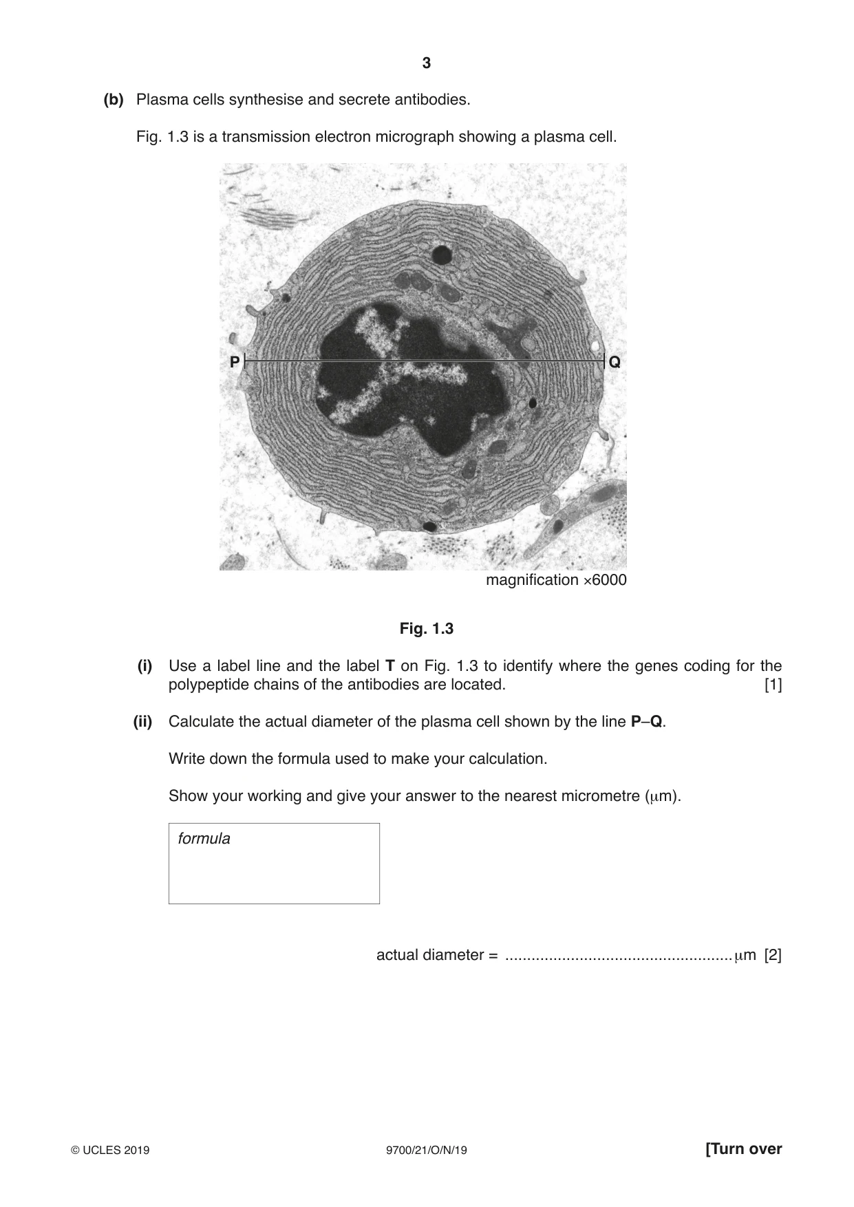 Cambridge A Level Biology 9700 2019 Oct/Nov Paper 2 · Variant 1 question paper, page 3 of 16
