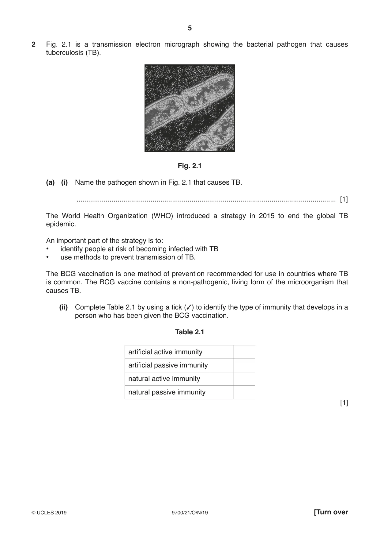 Cambridge A Level Biology 9700 2019 Oct/Nov Paper 2 · Variant 1 question paper, page 5 of 16