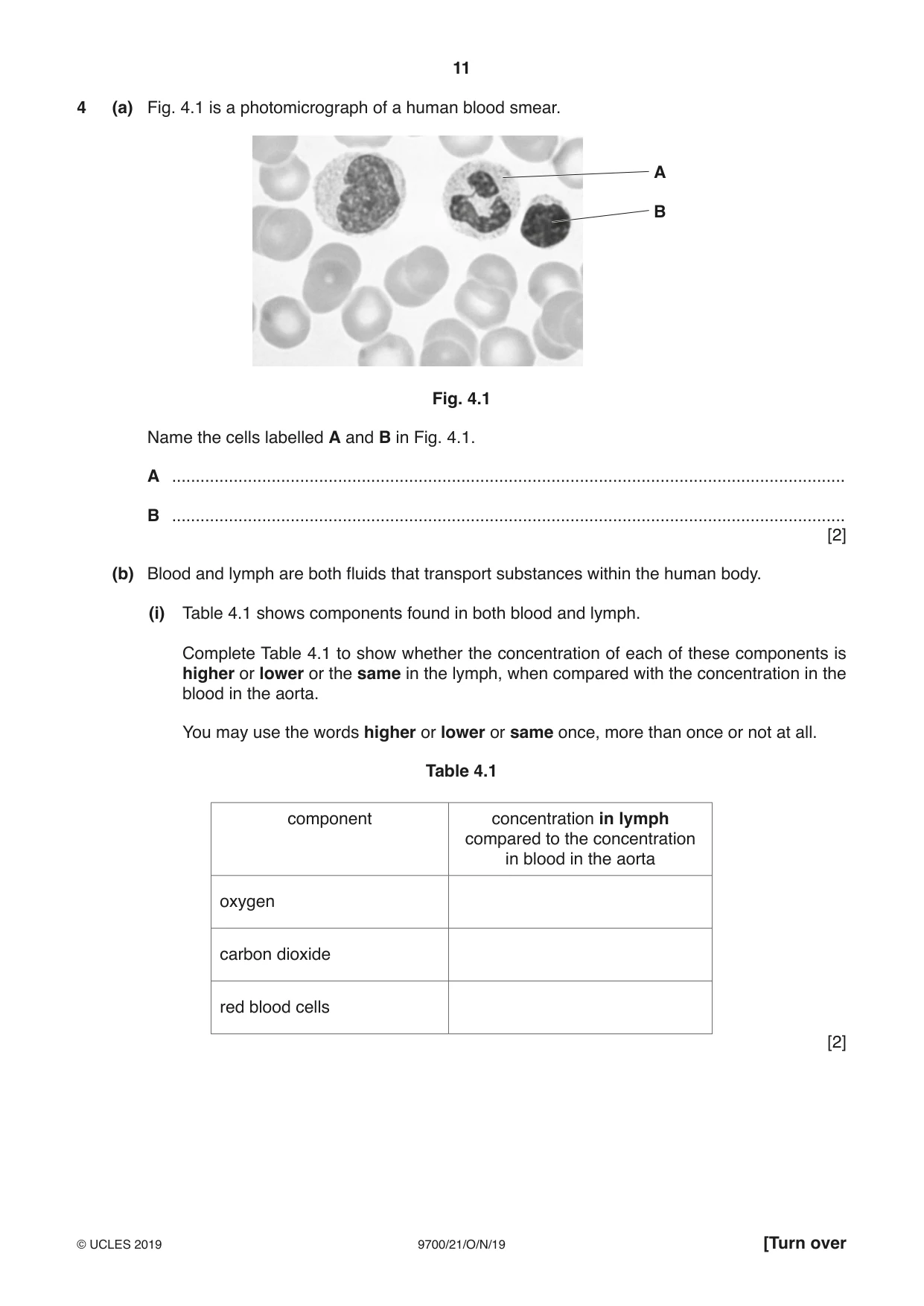 Cambridge A Level Biology 9700 2019 Oct/Nov Paper 2 · Variant 1 question paper, page 11 of 16
