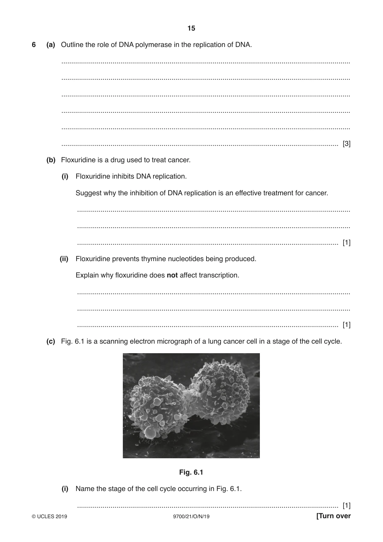 Cambridge A Level Biology 9700 2019 Oct/Nov Paper 2 · Variant 1 question paper, page 15 of 16