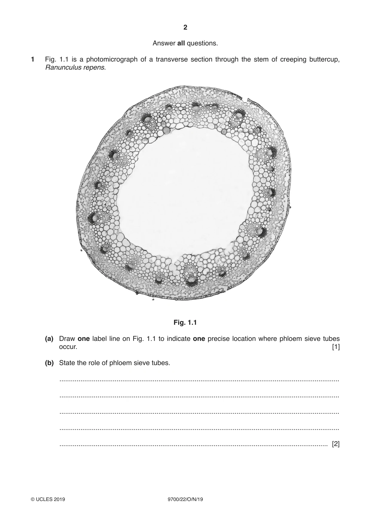 Cambridge A Level Biology 9700 2019 Oct/Nov Paper 2 · Variant 2 question paper, page 2 of 16