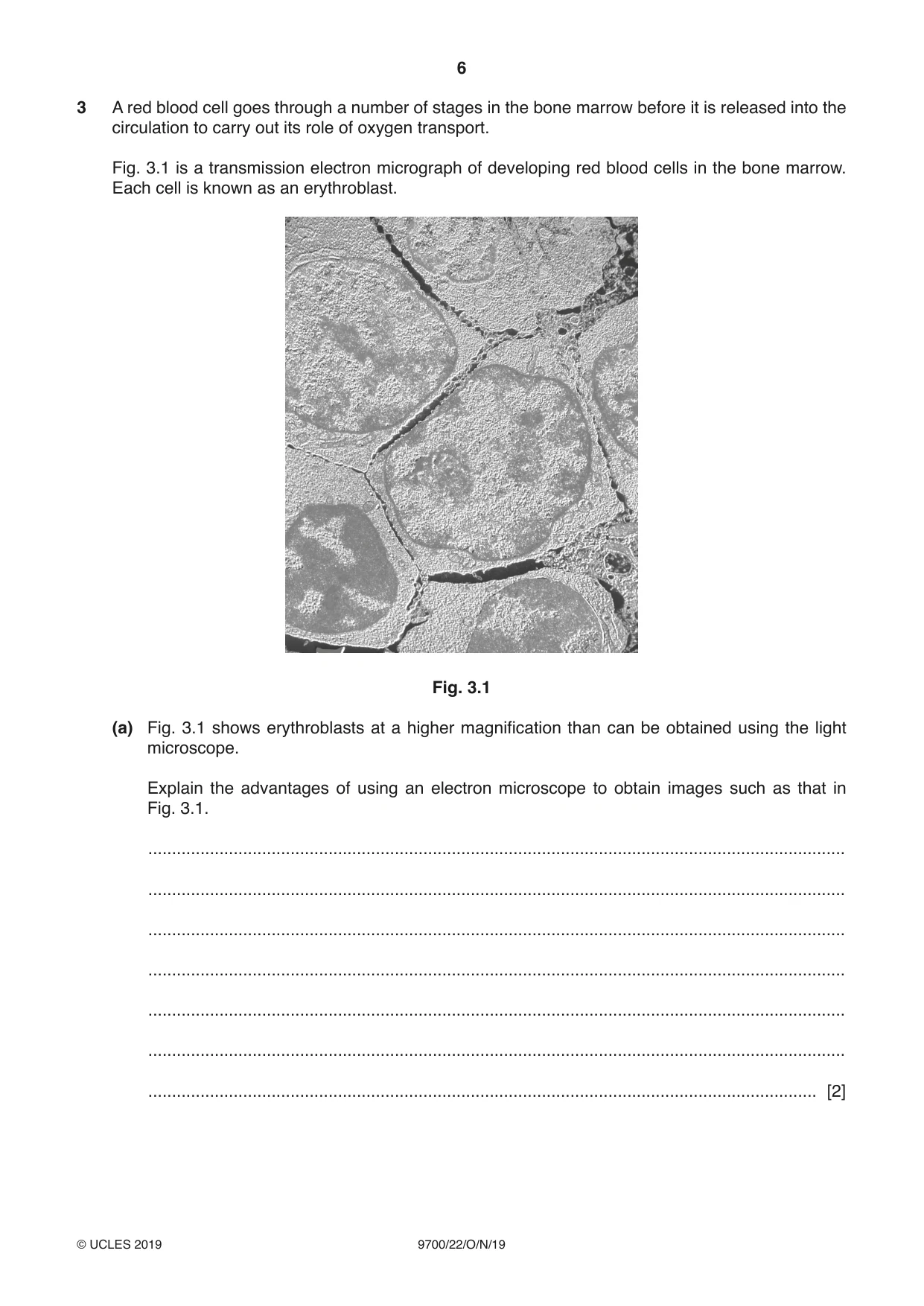 Cambridge A Level Biology 9700 2019 Oct/Nov Paper 2 · Variant 2 question paper, page 6 of 16