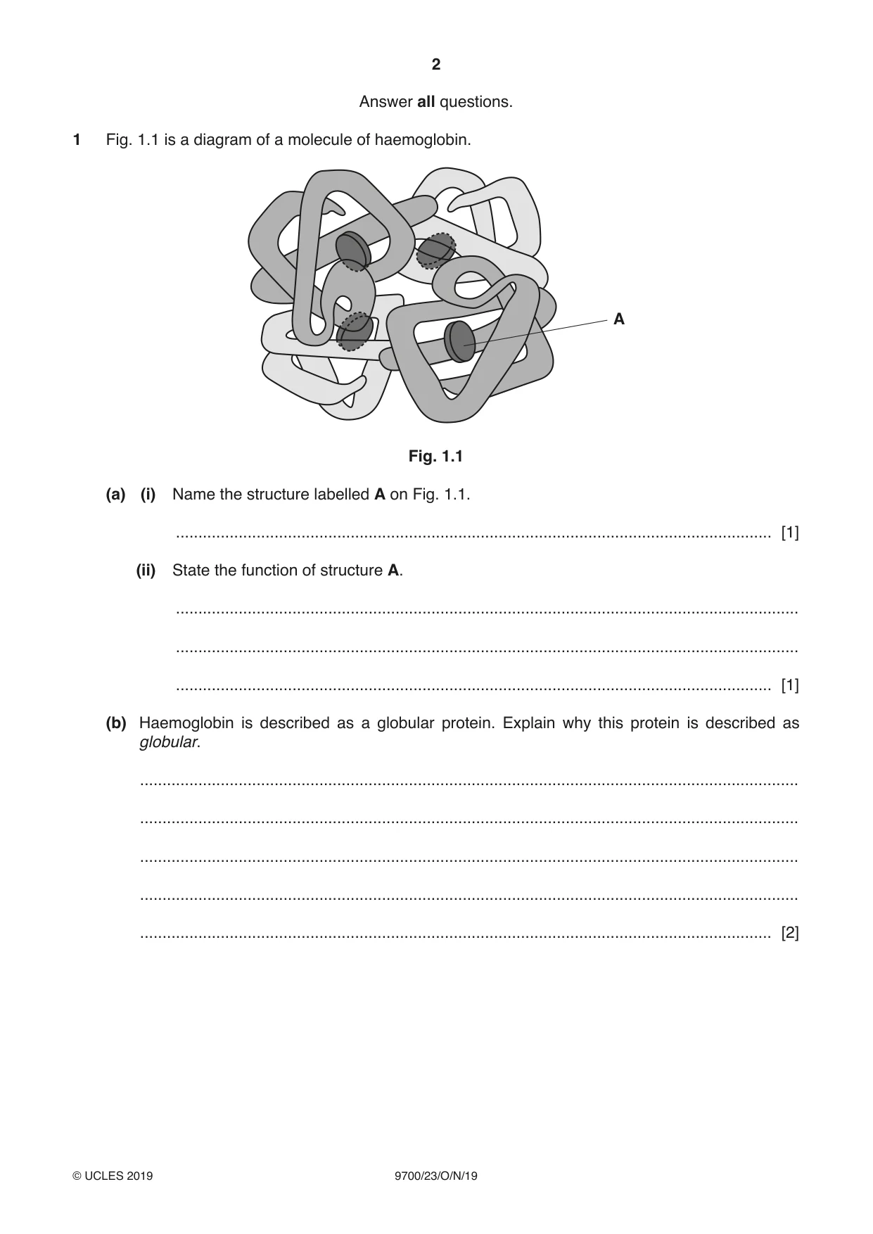 Cambridge A Level Biology 9700 2019 Oct/Nov Paper 2 · Variant 3 question paper, page 2 of 16