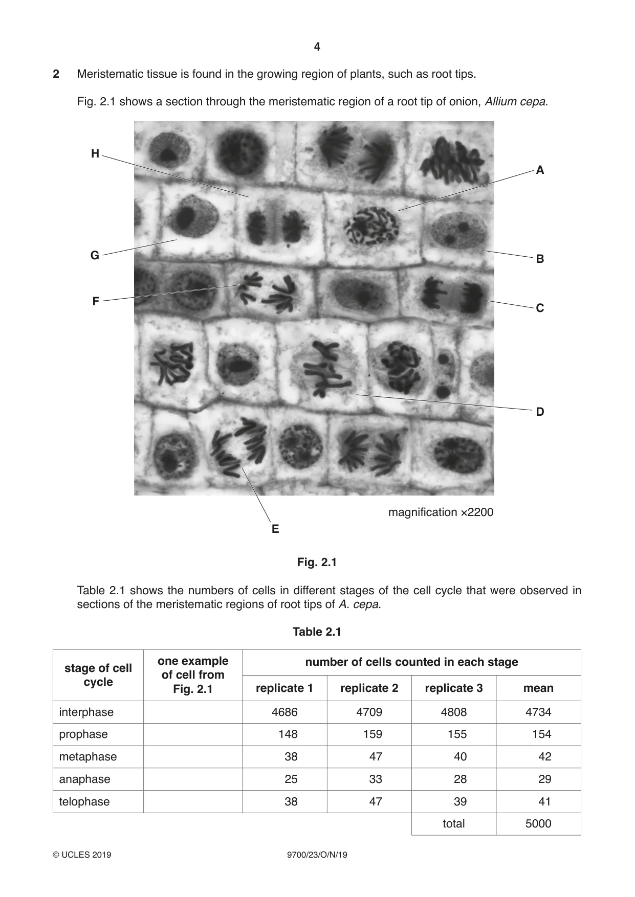 Cambridge A Level Biology 9700 2019 Oct/Nov Paper 2 · Variant 3 question paper, page 4 of 16