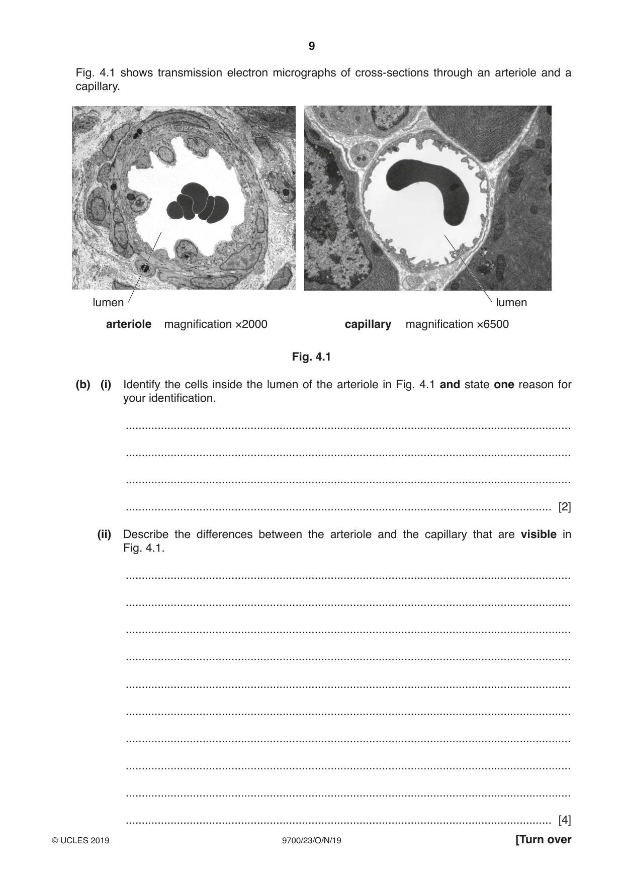 Cambridge A Level Biology 9700 2019 Oct/Nov Paper 2 · Variant 3 question paper, page 9 of 16