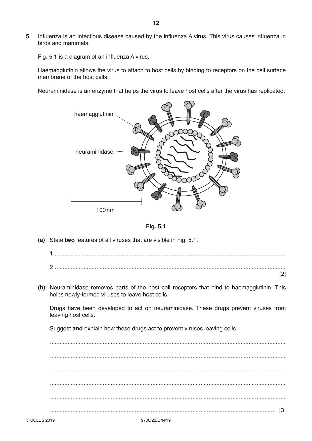 Cambridge A Level Biology 9700 2019 Oct/Nov Paper 2 · Variant 3 question paper, page 12 of 16