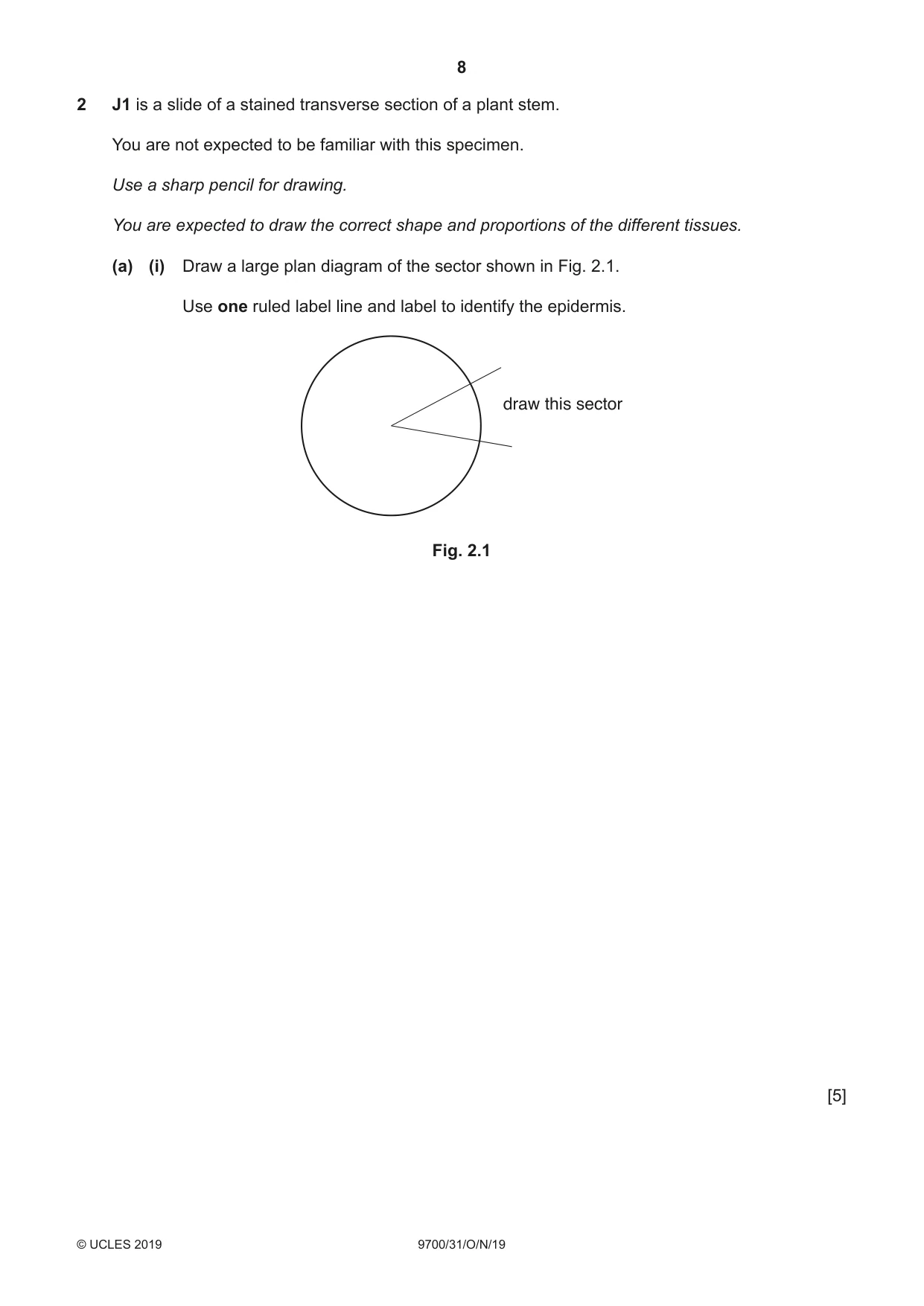 Cambridge A Level Biology 9700 2019 Oct/Nov Paper 3 · Variant 1 question paper, page 8 of 12