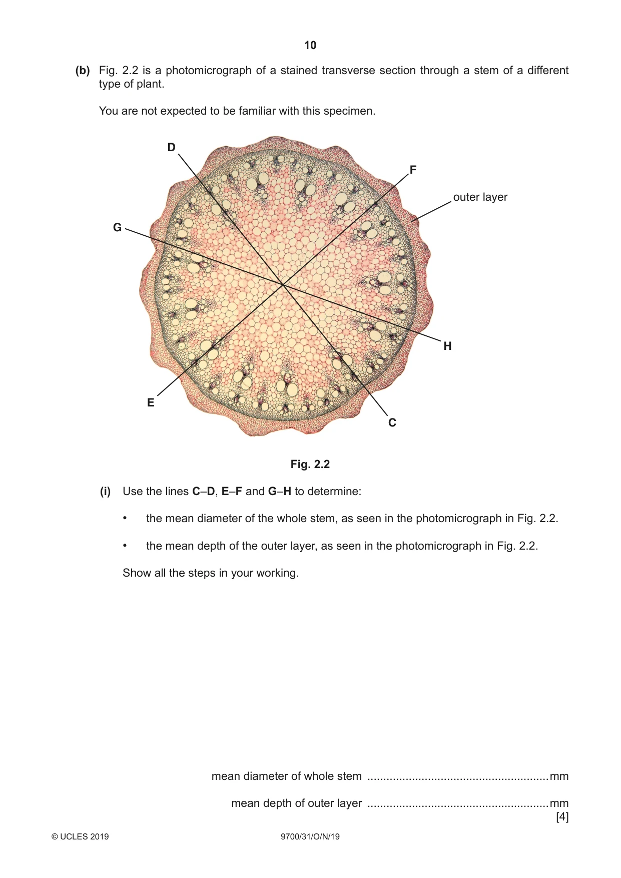 Cambridge A Level Biology 9700 2019 Oct/Nov Paper 3 · Variant 1 question paper, page 10 of 12