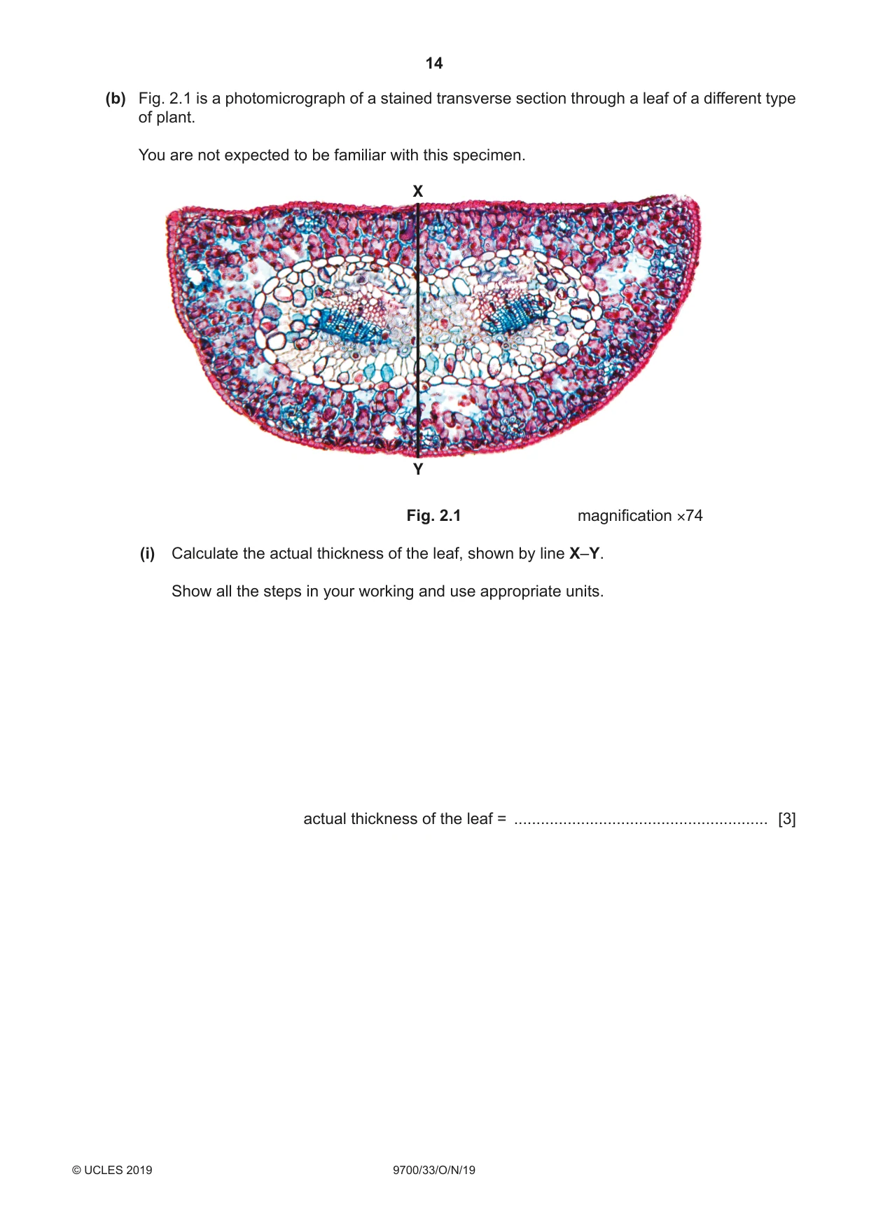 Cambridge A Level Biology 9700 2019 Oct/Nov Paper 3 · Variant 3 question paper, page 14 of 16