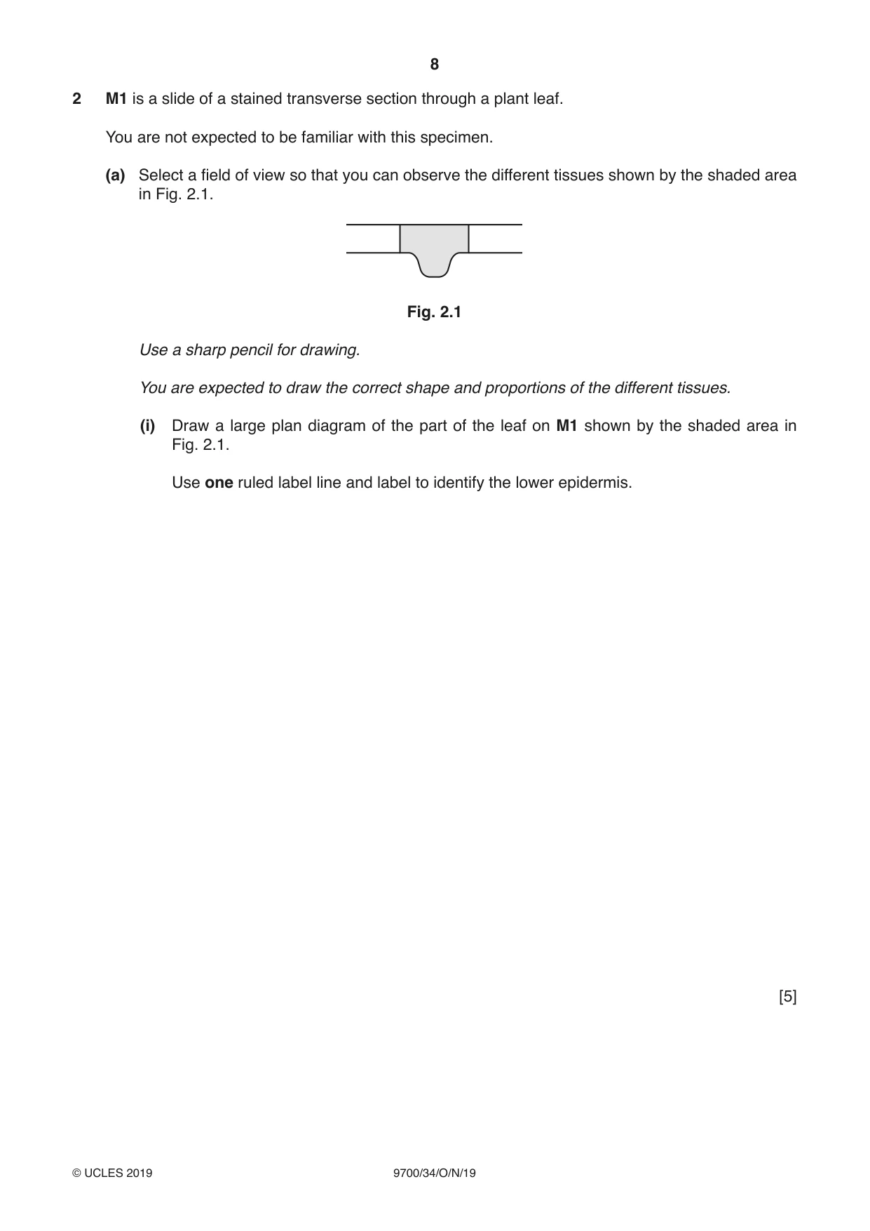 Cambridge A Level Biology 9700 2019 Oct/Nov Paper 3 · Variant 4 question paper, page 8 of 12