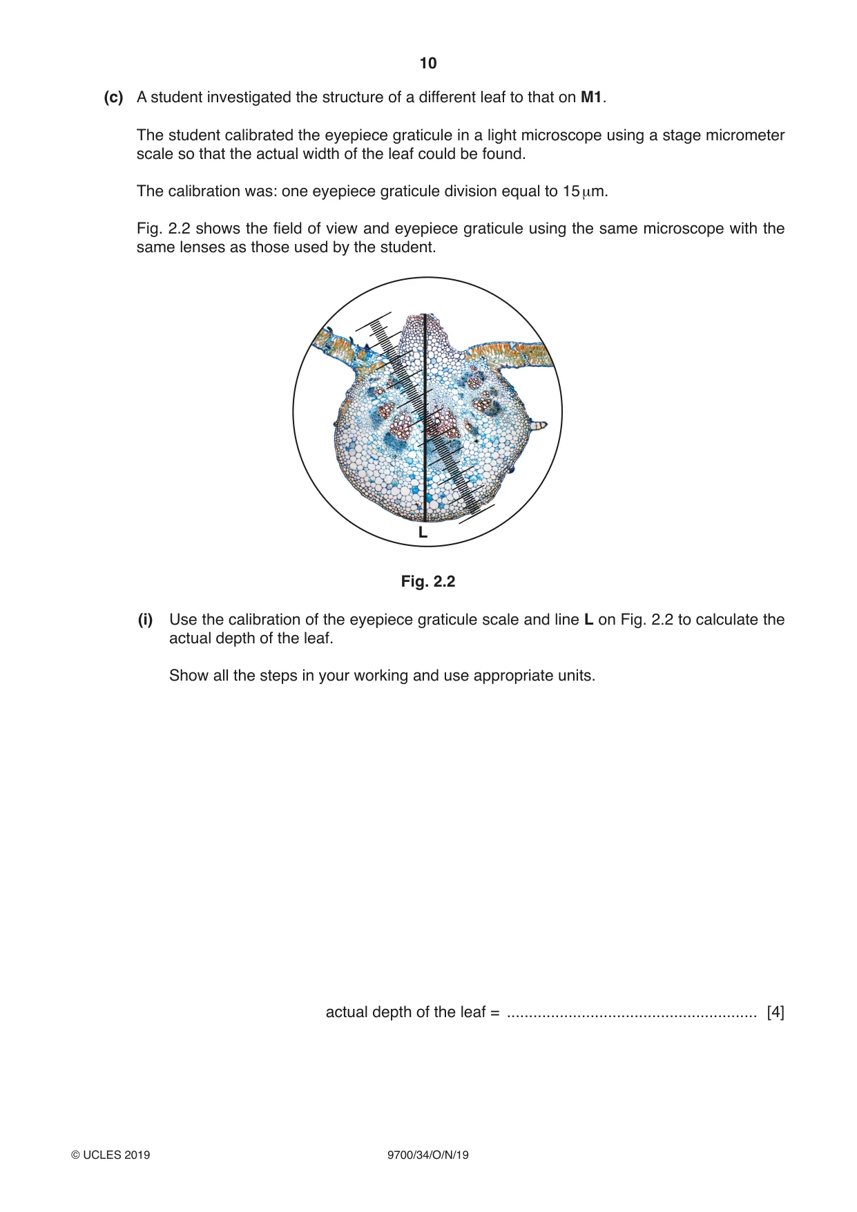 Cambridge A Level Biology 9700 2019 Oct/Nov Paper 3 · Variant 4 question paper, page 10 of 12