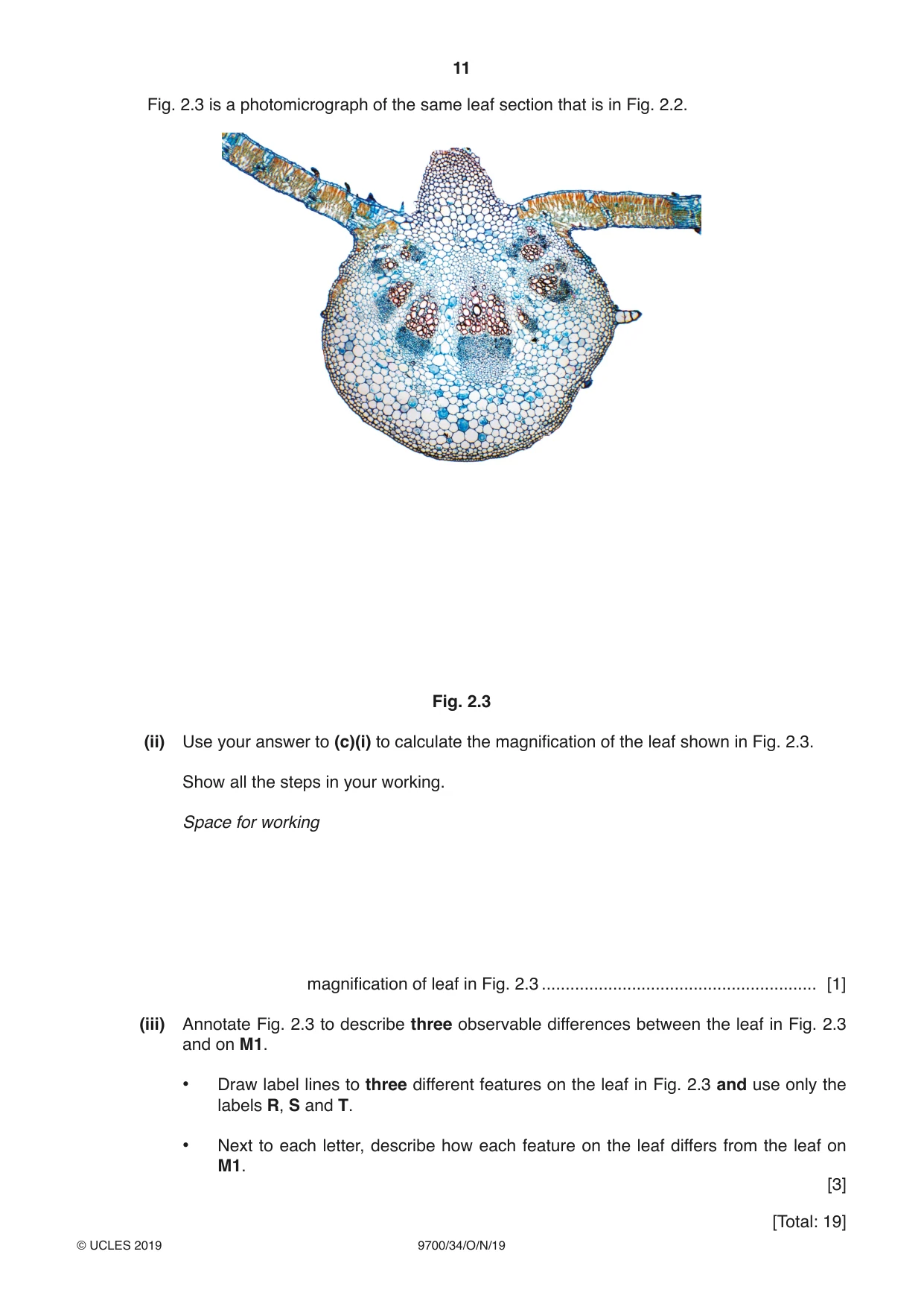 Cambridge A Level Biology 9700 2019 Oct/Nov Paper 3 · Variant 4 question paper, page 11 of 12