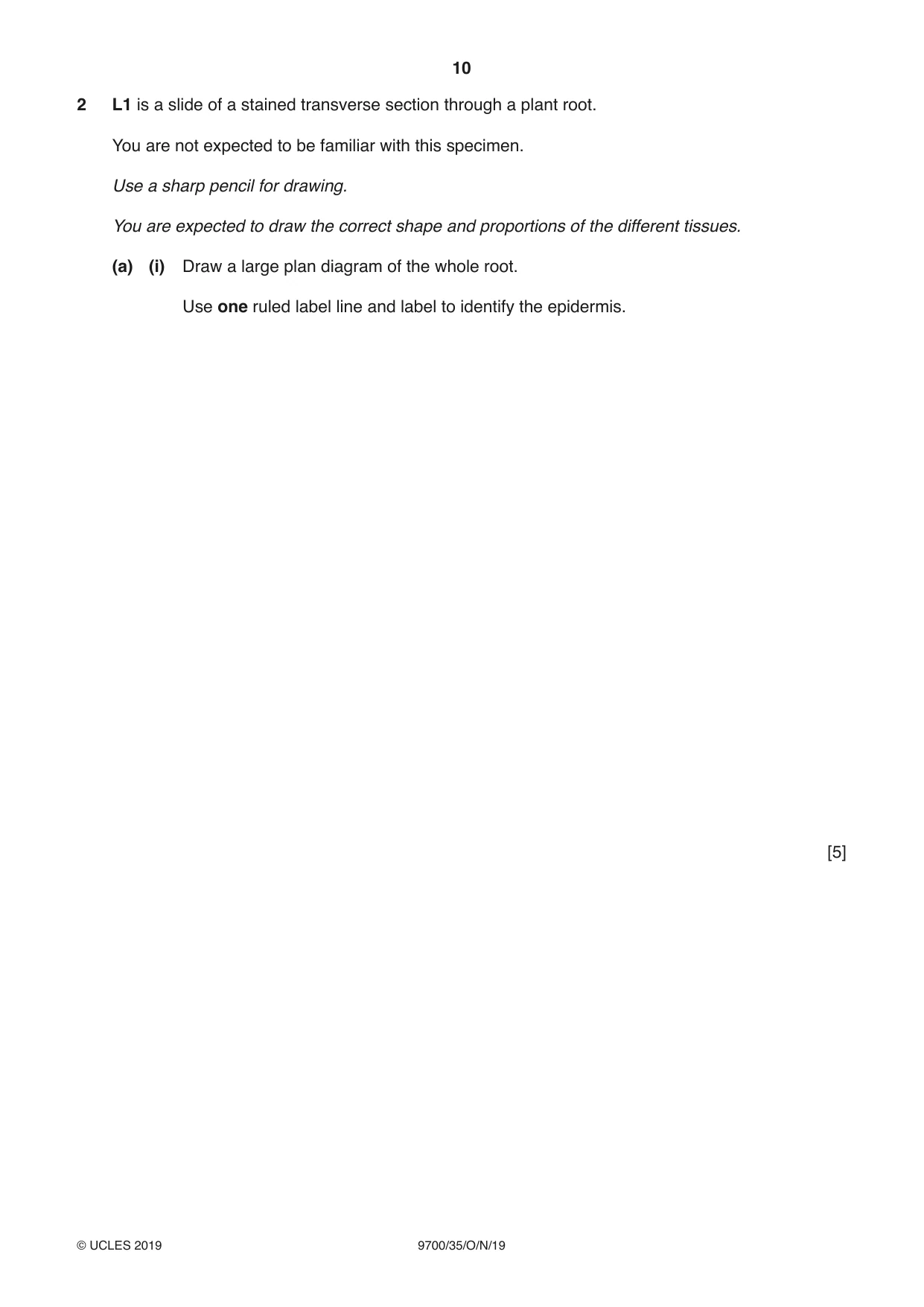 Cambridge A Level Biology 9700 2019 Oct/Nov Paper 3 · Variant 5 question paper, page 10 of 16