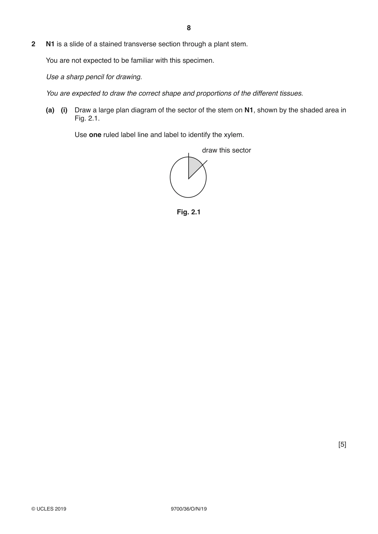Cambridge A Level Biology 9700 2019 Oct/Nov Paper 3 · Variant 6 question paper, page 8 of 12