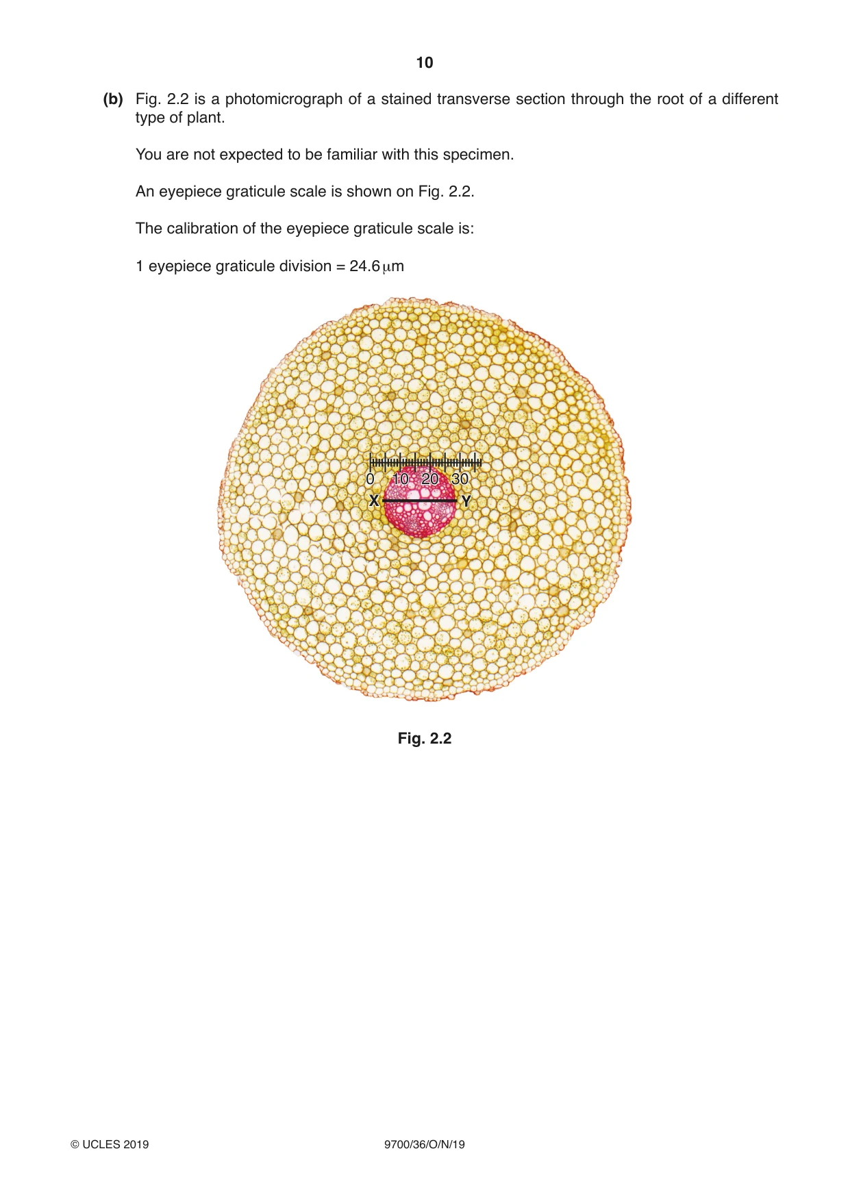 Cambridge A Level Biology 9700 2019 Oct/Nov Paper 3 · Variant 6 question paper, page 10 of 12