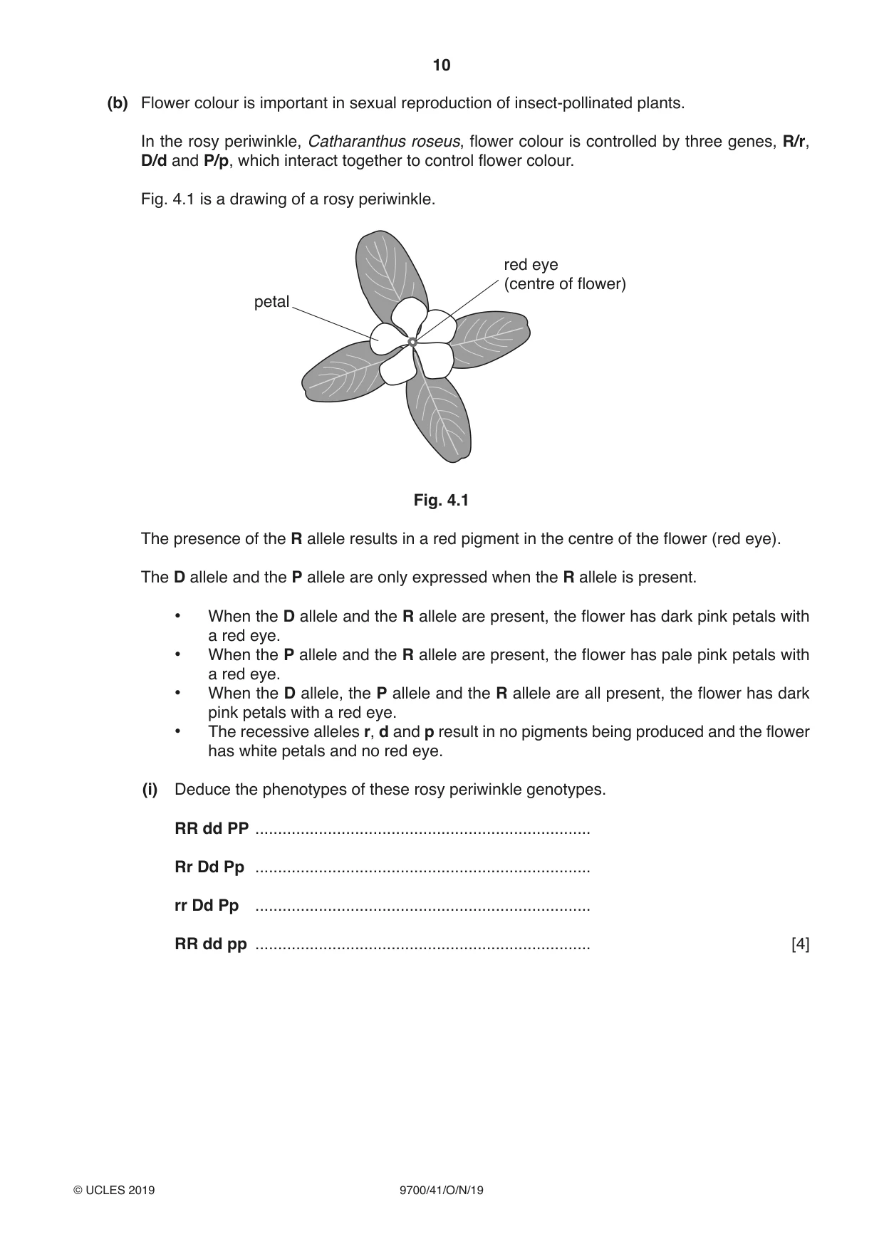 Cambridge A Level Biology 9700 2019 Oct/Nov Paper 4 · Variant 1 question paper, page 10 of 28