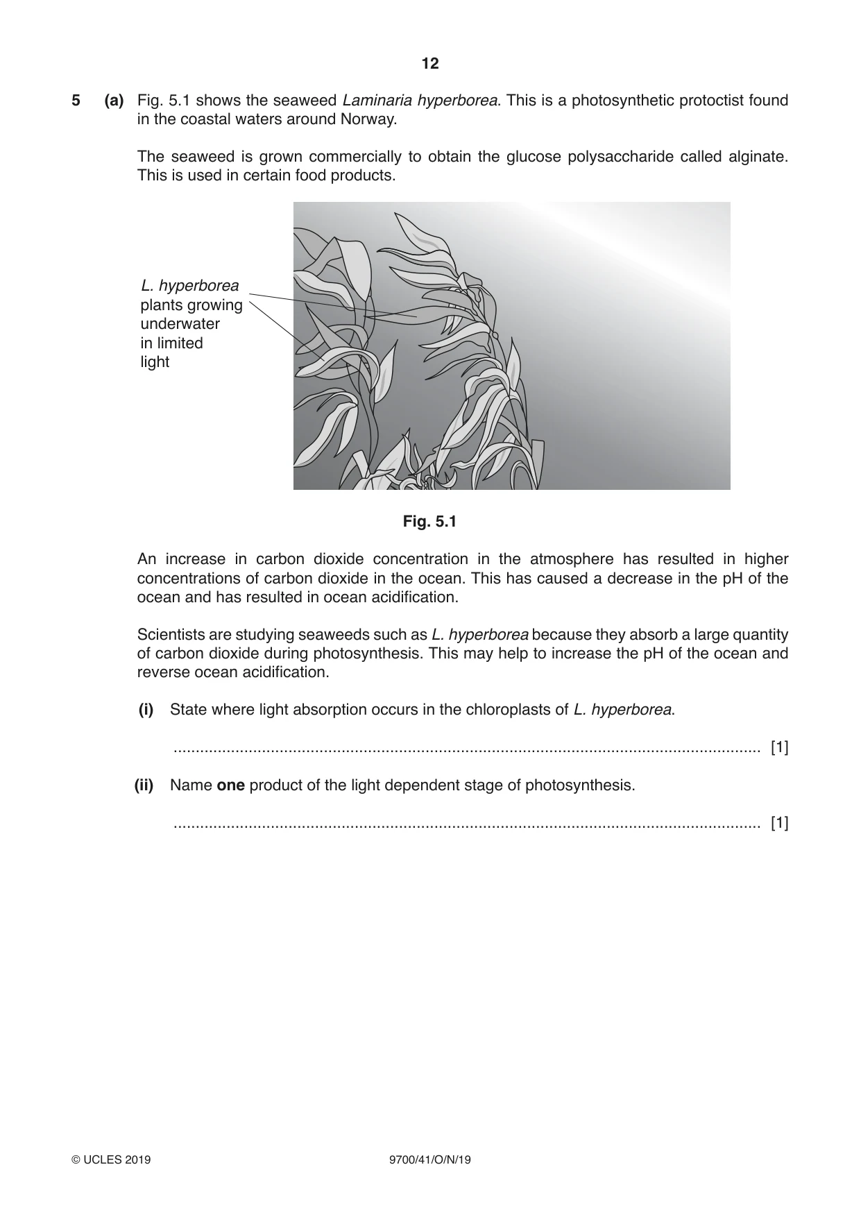 Cambridge A Level Biology 9700 2019 Oct/Nov Paper 4 · Variant 1 question paper, page 12 of 28