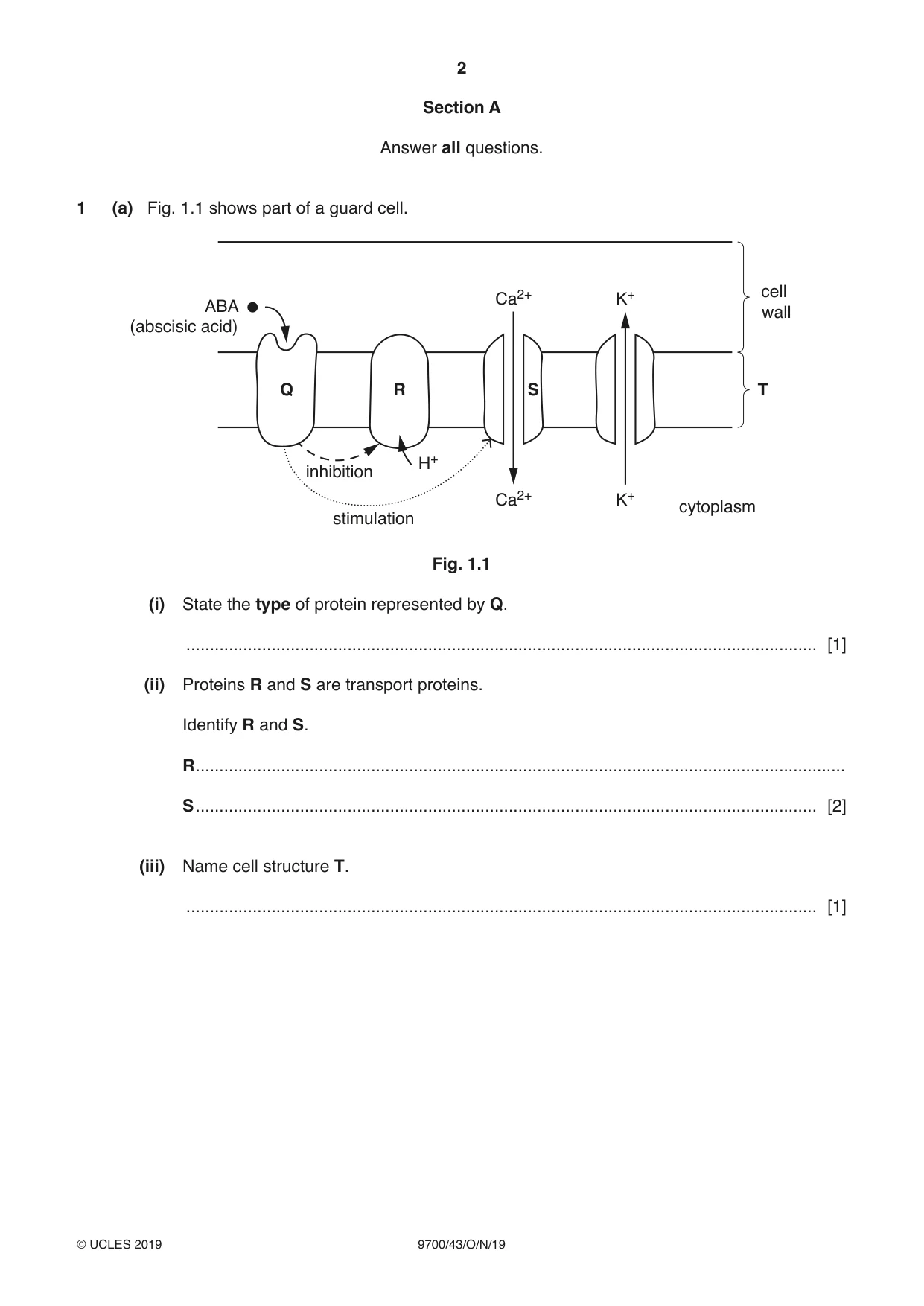 Cambridge A Level Biology 9700 2019 Oct/Nov Paper 4 · Variant 3 question paper, page 2 of 24