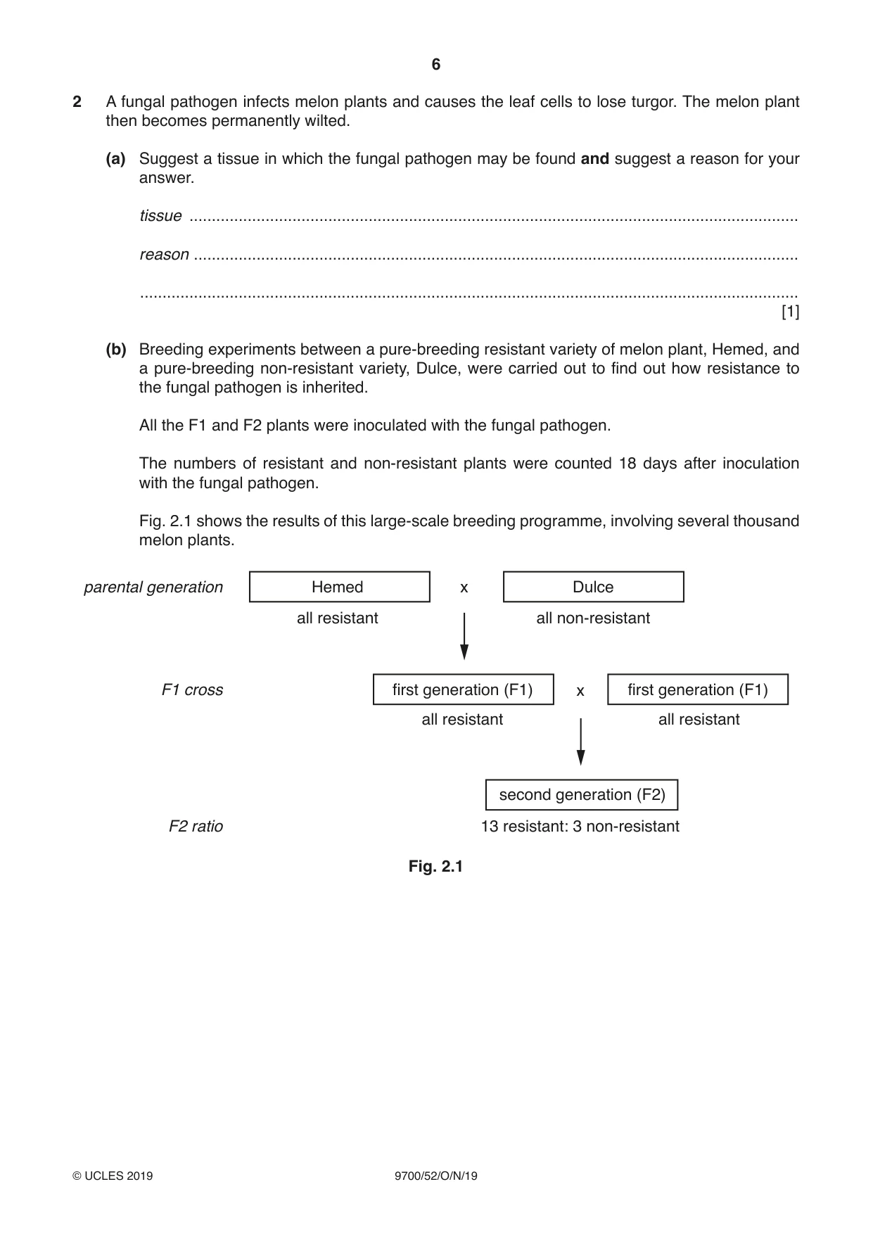 Cambridge A Level Biology 9700 2019 Oct/Nov Paper 5 · Variant 2 question paper, page 6 of 8