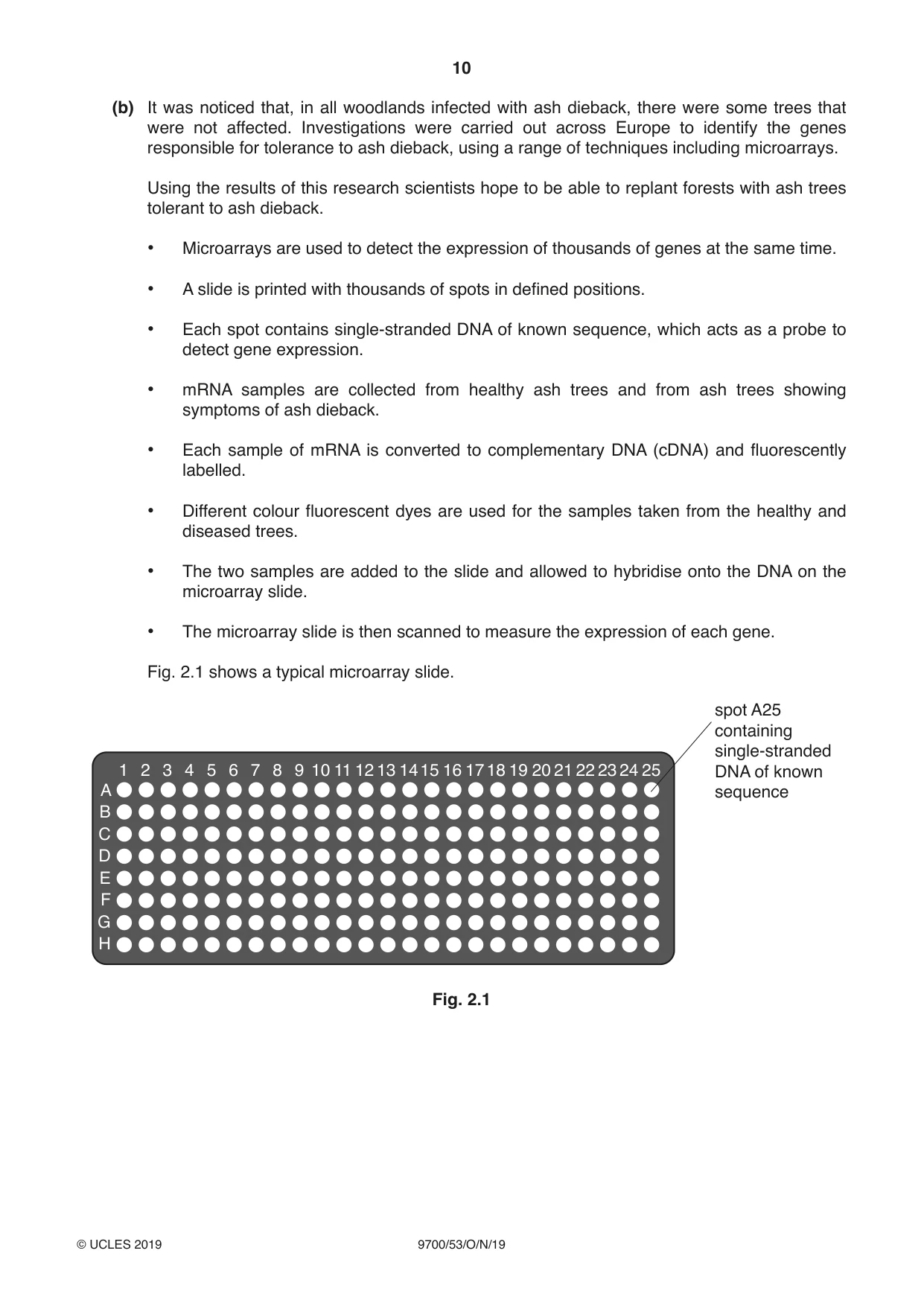 Cambridge A Level Biology 9700 2019 Oct/Nov Paper 5 · Variant 3 question paper, page 10 of 16