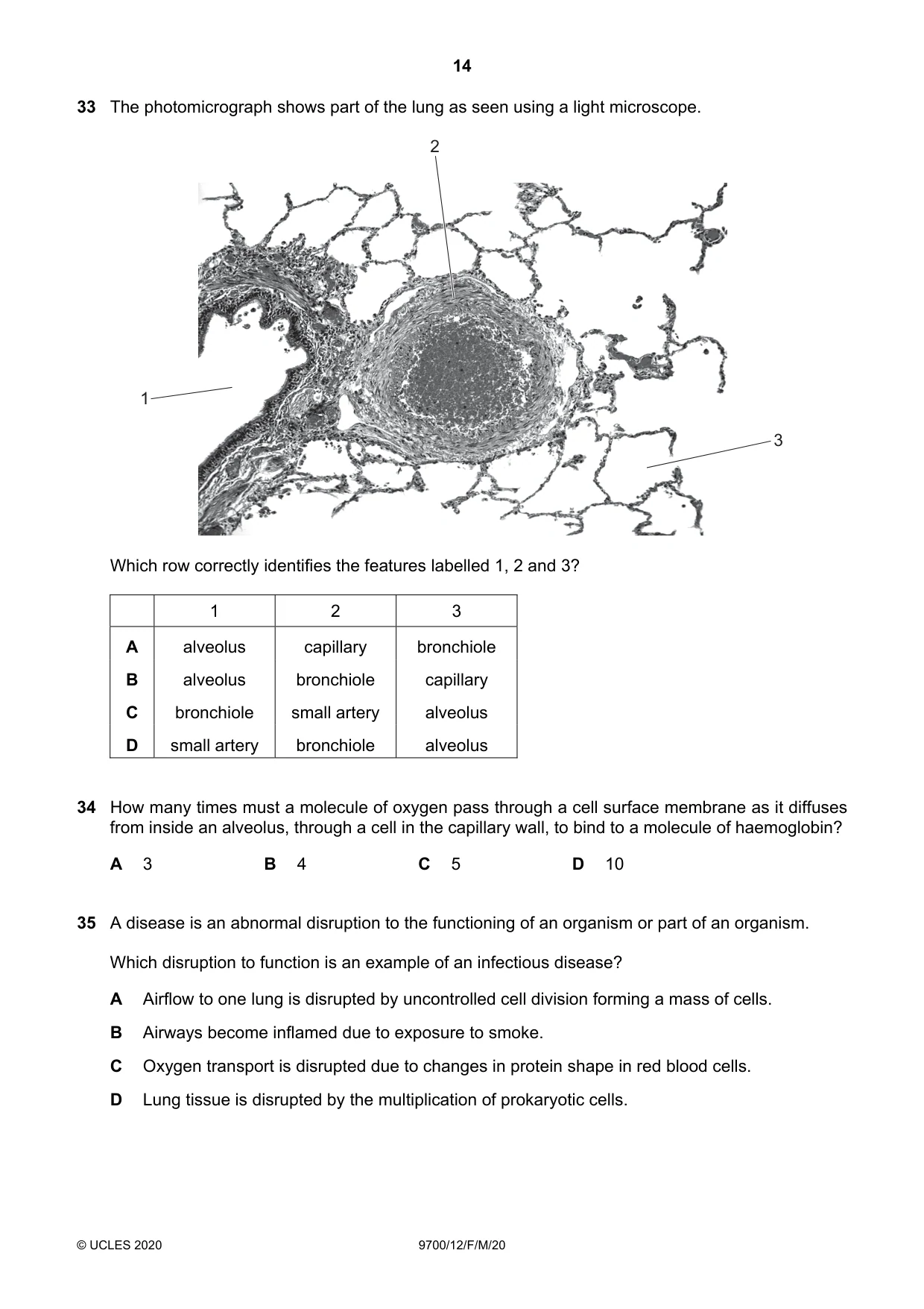 Cambridge A Level Biology 9700 2020 Feb/March Paper 1 · Variant 2 question paper, page 14 of 16