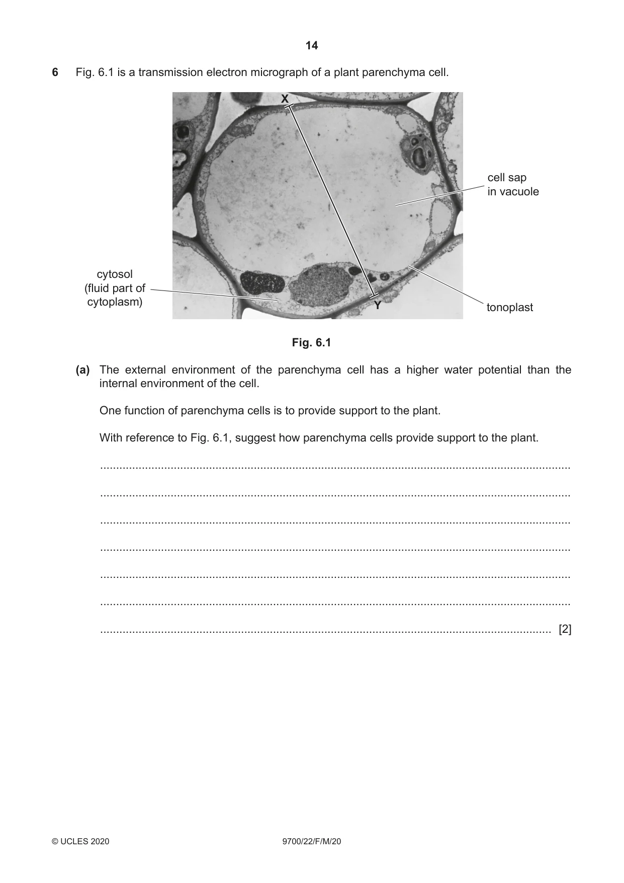 Cambridge A Level Biology 9700 2020 Feb/March Paper 2 · Variant 2 question paper, page 14 of 16