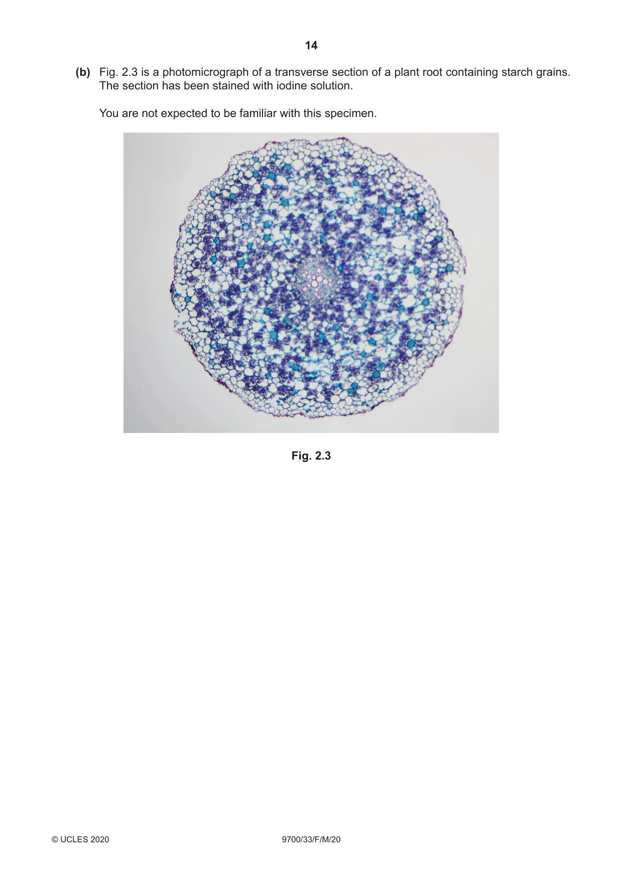 Cambridge A Level Biology 9700 2020 Feb/March Paper 3 · Variant 3 question paper, page 14 of 20