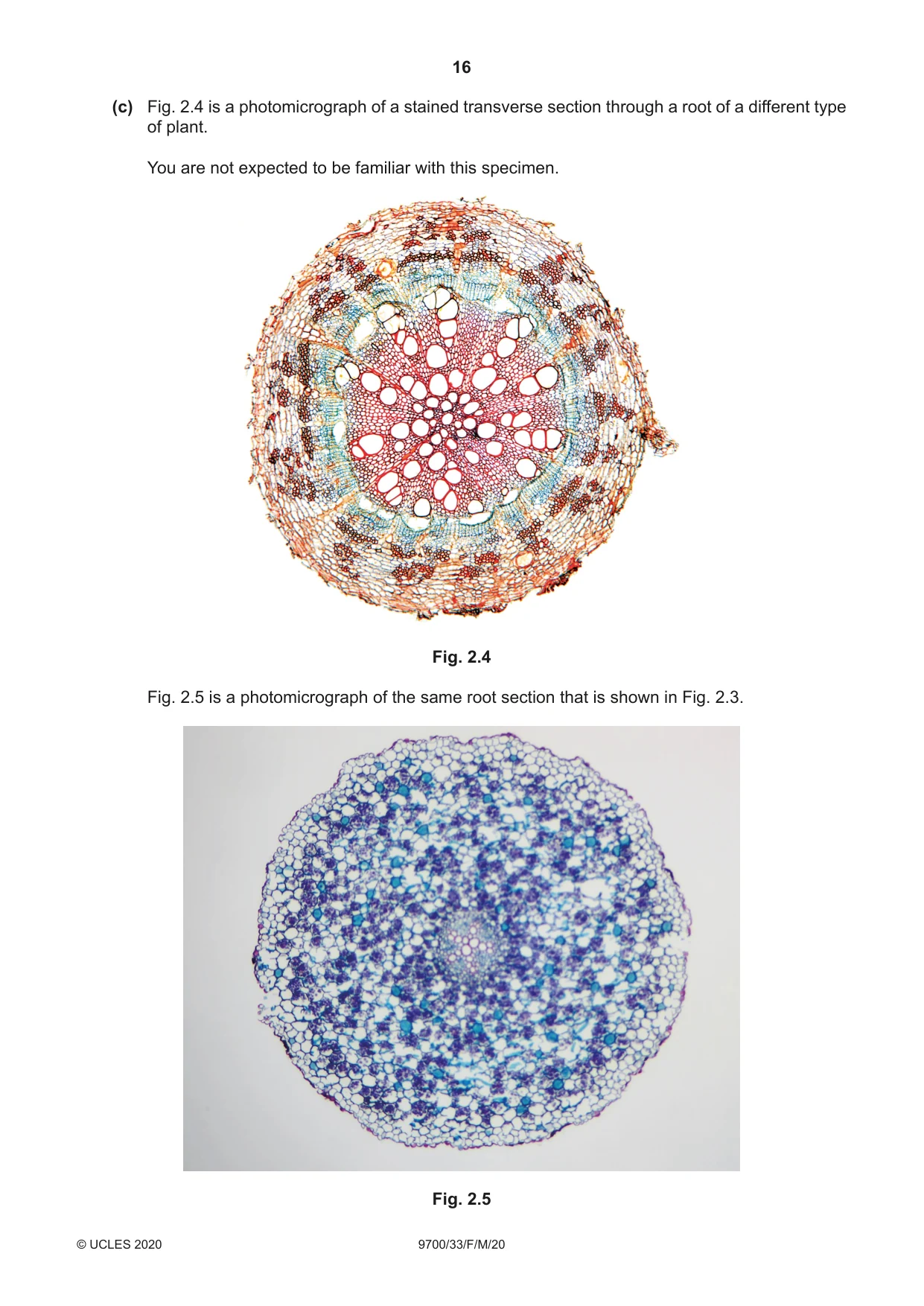 Cambridge A Level Biology 9700 2020 Feb/March Paper 3 · Variant 3 question paper, page 16 of 20