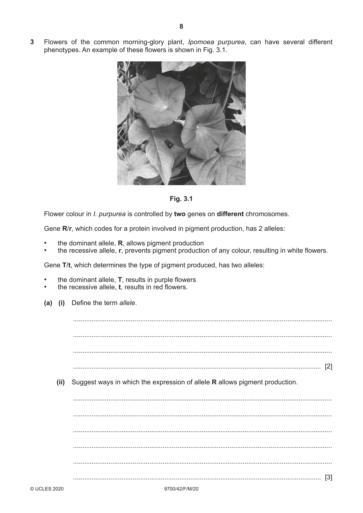 Cambridge A Level Biology 9700 2020 Feb/March Paper 4 · Variant 2 question paper, page 8 of 28