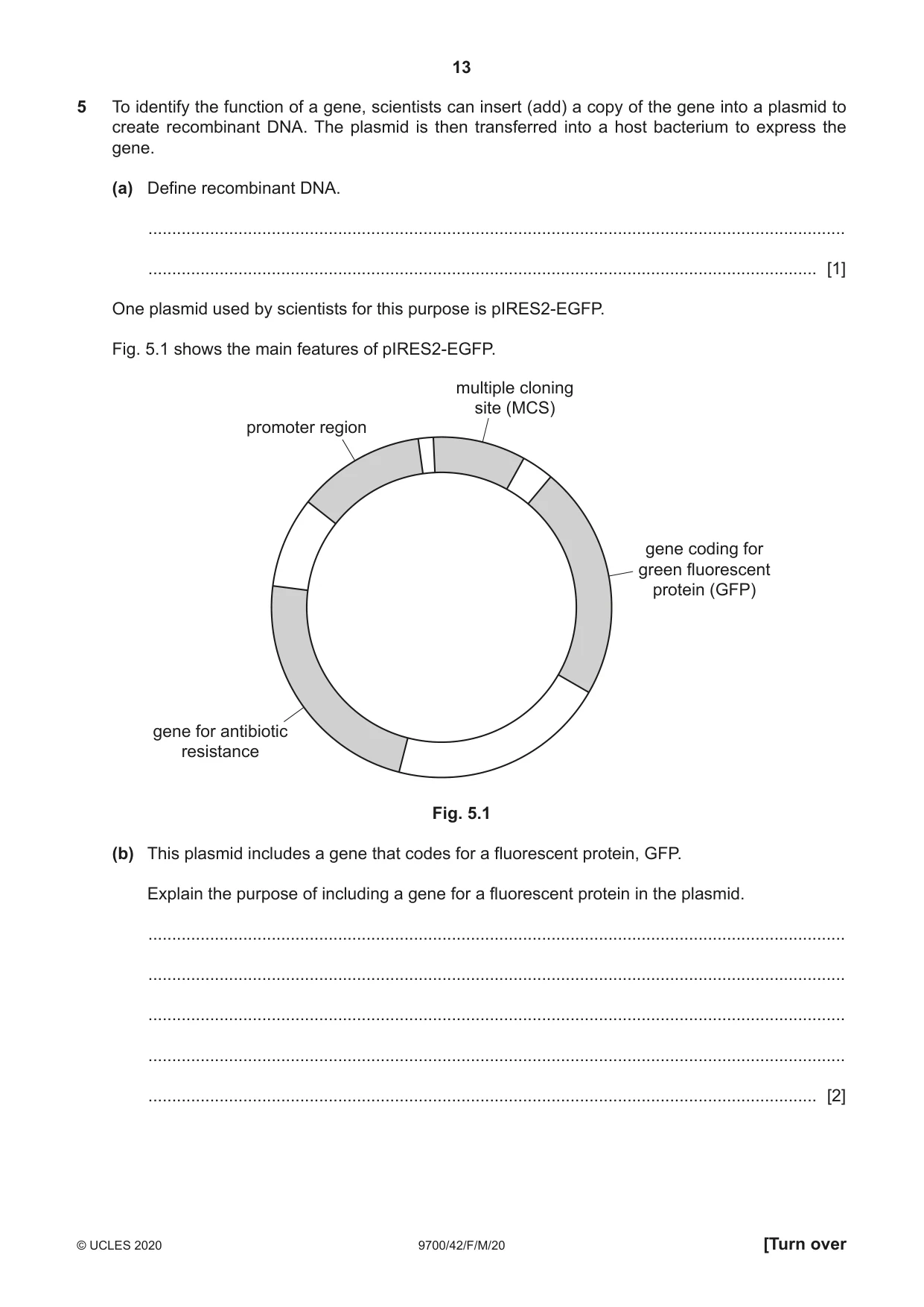 Cambridge A Level Biology 9700 2020 Feb/March Paper 4 · Variant 2 question paper, page 13 of 28