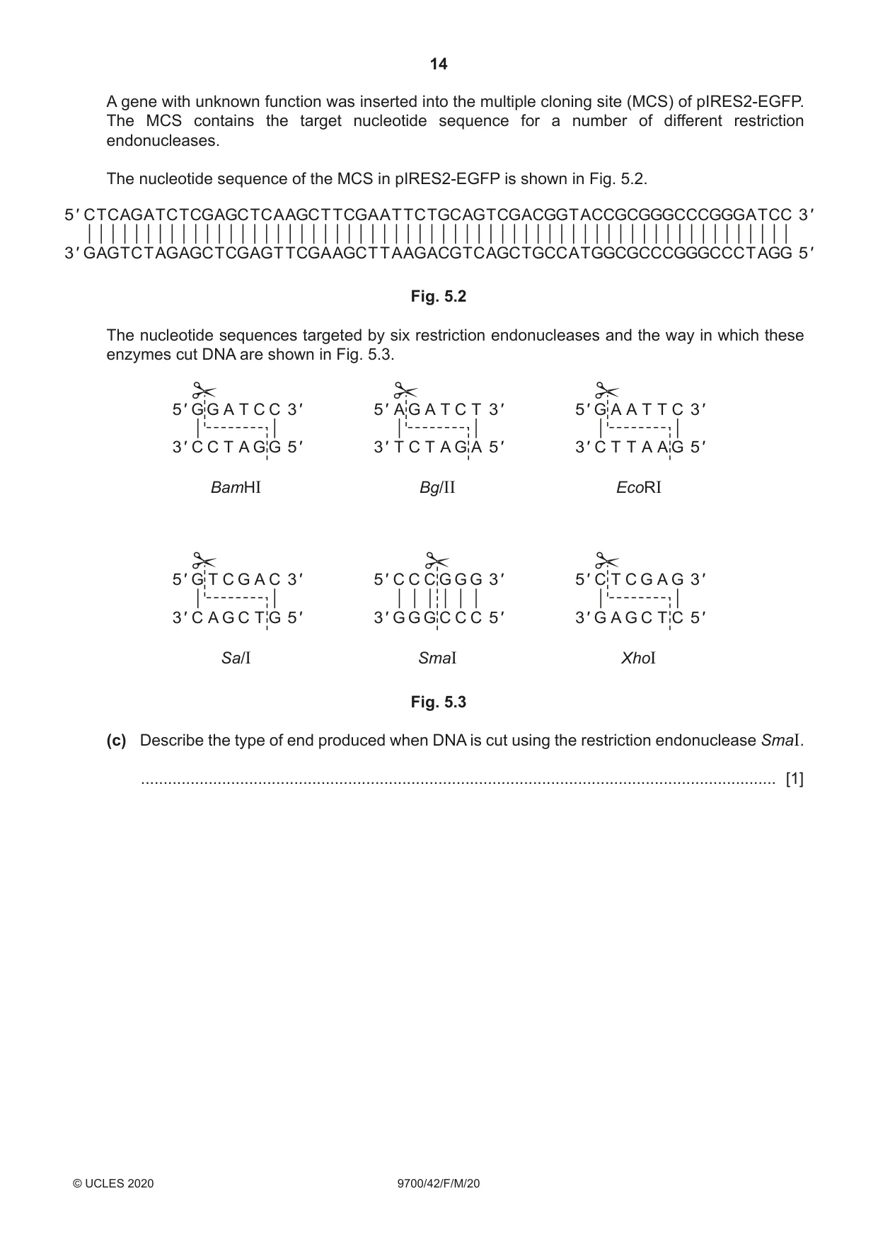 Cambridge A Level Biology 9700 2020 Feb/March Paper 4 · Variant 2 question paper, page 14 of 28