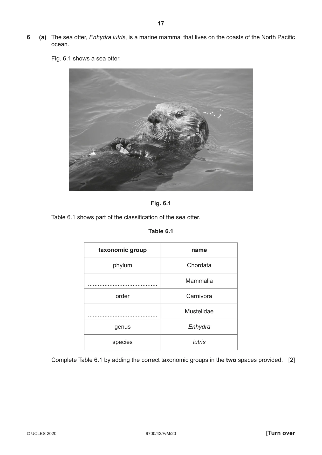 Cambridge A Level Biology 9700 2020 Feb/March Paper 4 · Variant 2 question paper, page 17 of 28