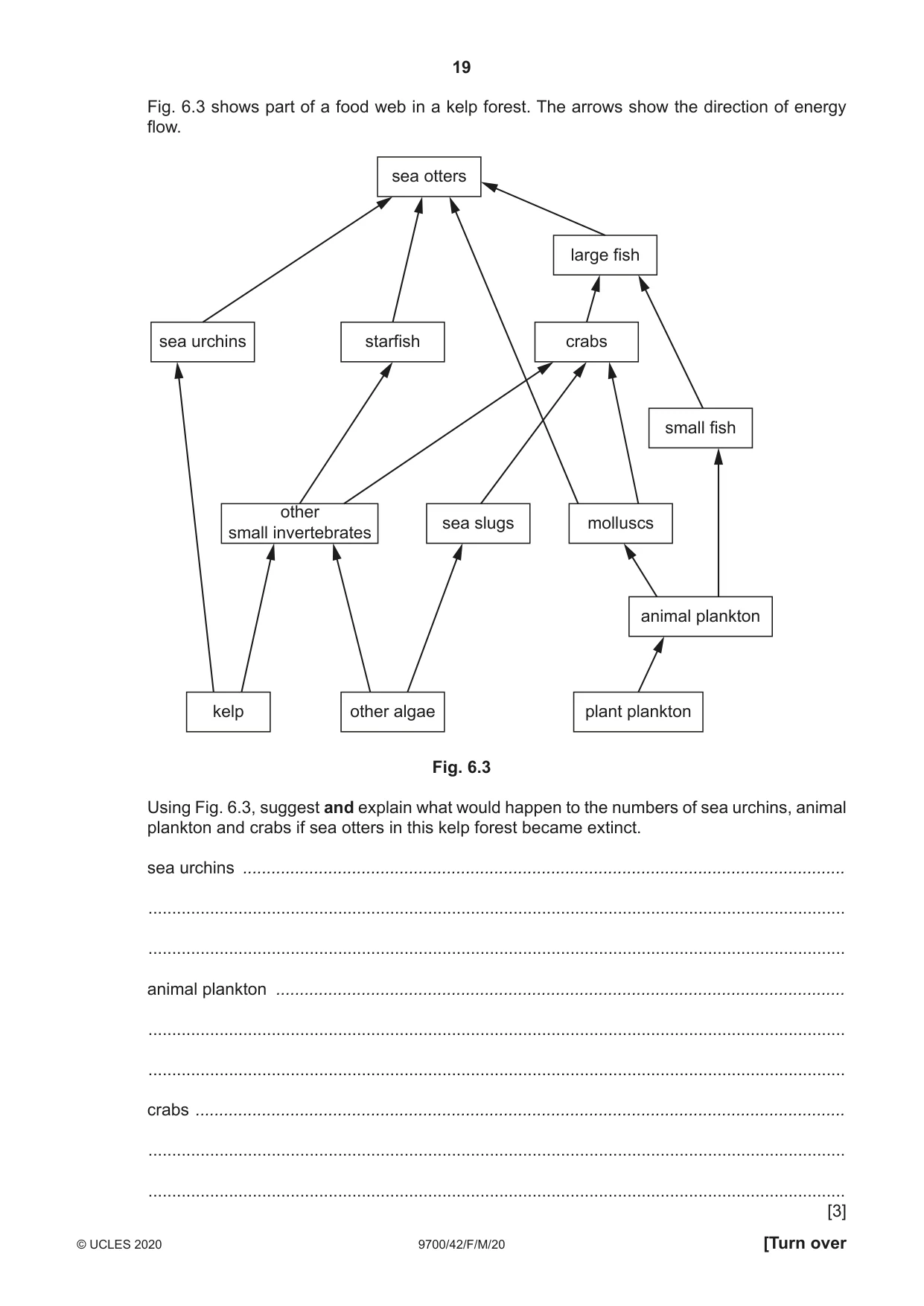 Cambridge A Level Biology 9700 2020 Feb/March Paper 4 · Variant 2 question paper, page 19 of 28