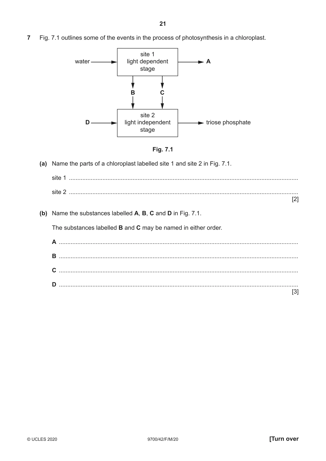 Cambridge A Level Biology 9700 2020 Feb/March Paper 4 · Variant 2 question paper, page 21 of 28