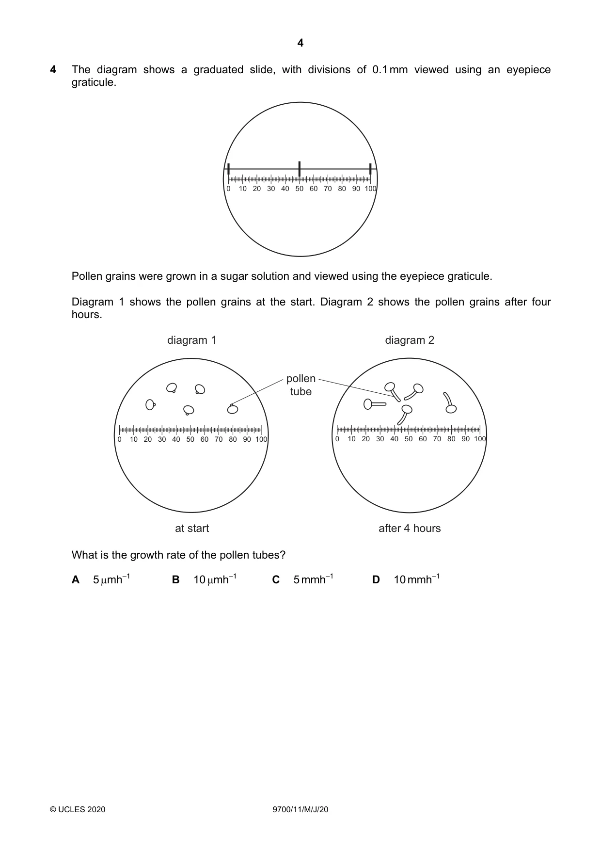 Cambridge A Level Biology 9700 2020 May/June Paper 1 · Variant 1 question paper, page 4 of 20