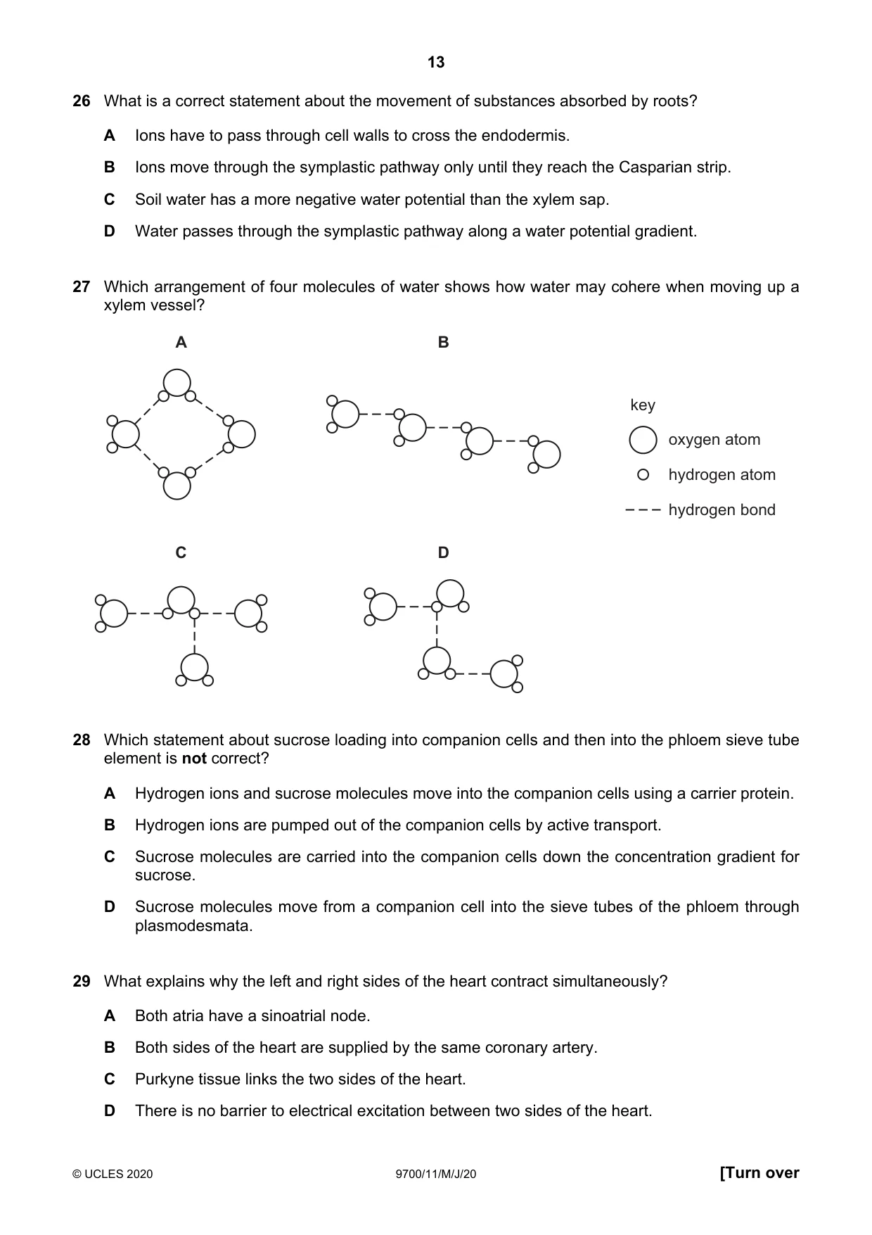 Cambridge A Level Biology 9700 2020 May/June Paper 1 · Variant 1 question paper, page 13 of 20