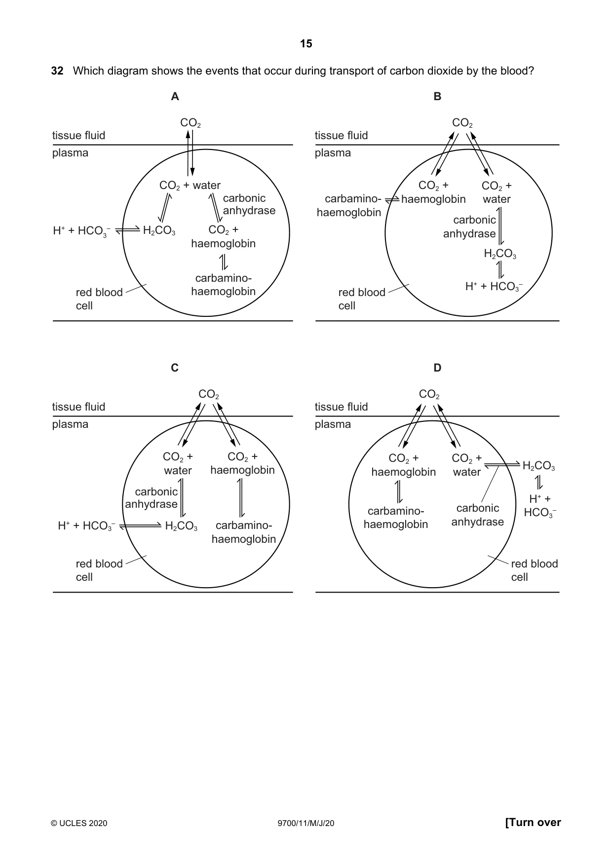 Cambridge A Level Biology 9700 2020 May/June Paper 1 · Variant 1 question paper, page 15 of 20