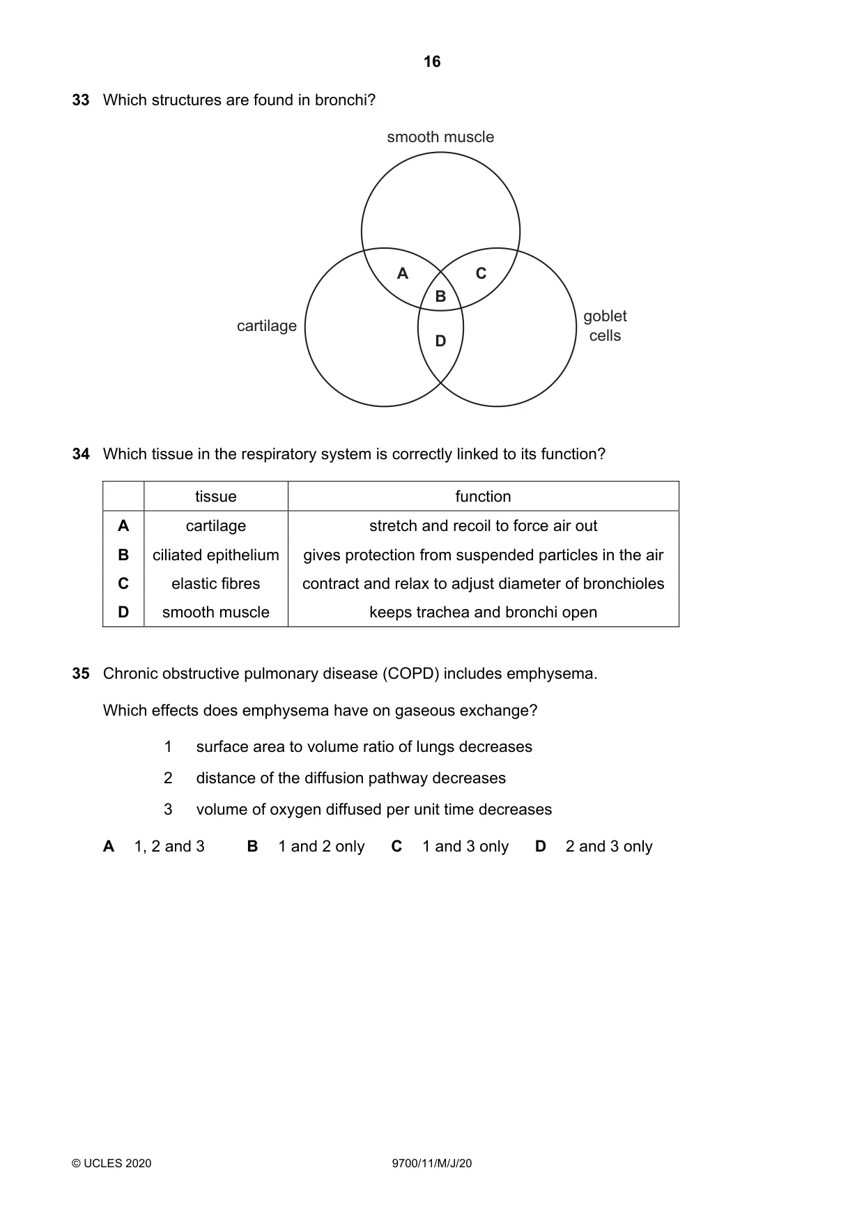 Cambridge A Level Biology 9700 2020 May/June Paper 1 · Variant 1 question paper, page 16 of 20